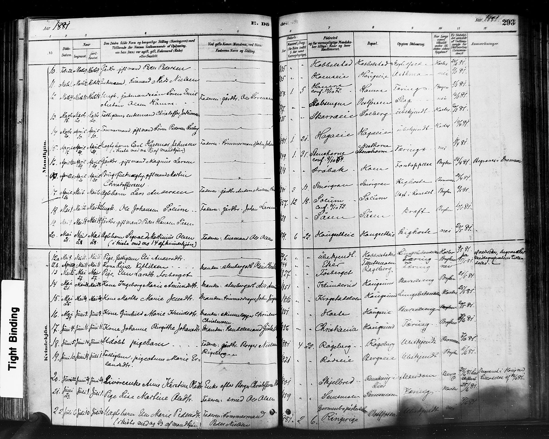 Eiker kirkebøker, AV/SAKO-A-4/F/Fb/L0001: Parish register (official) no. II 1, 1878-1888, p. 293