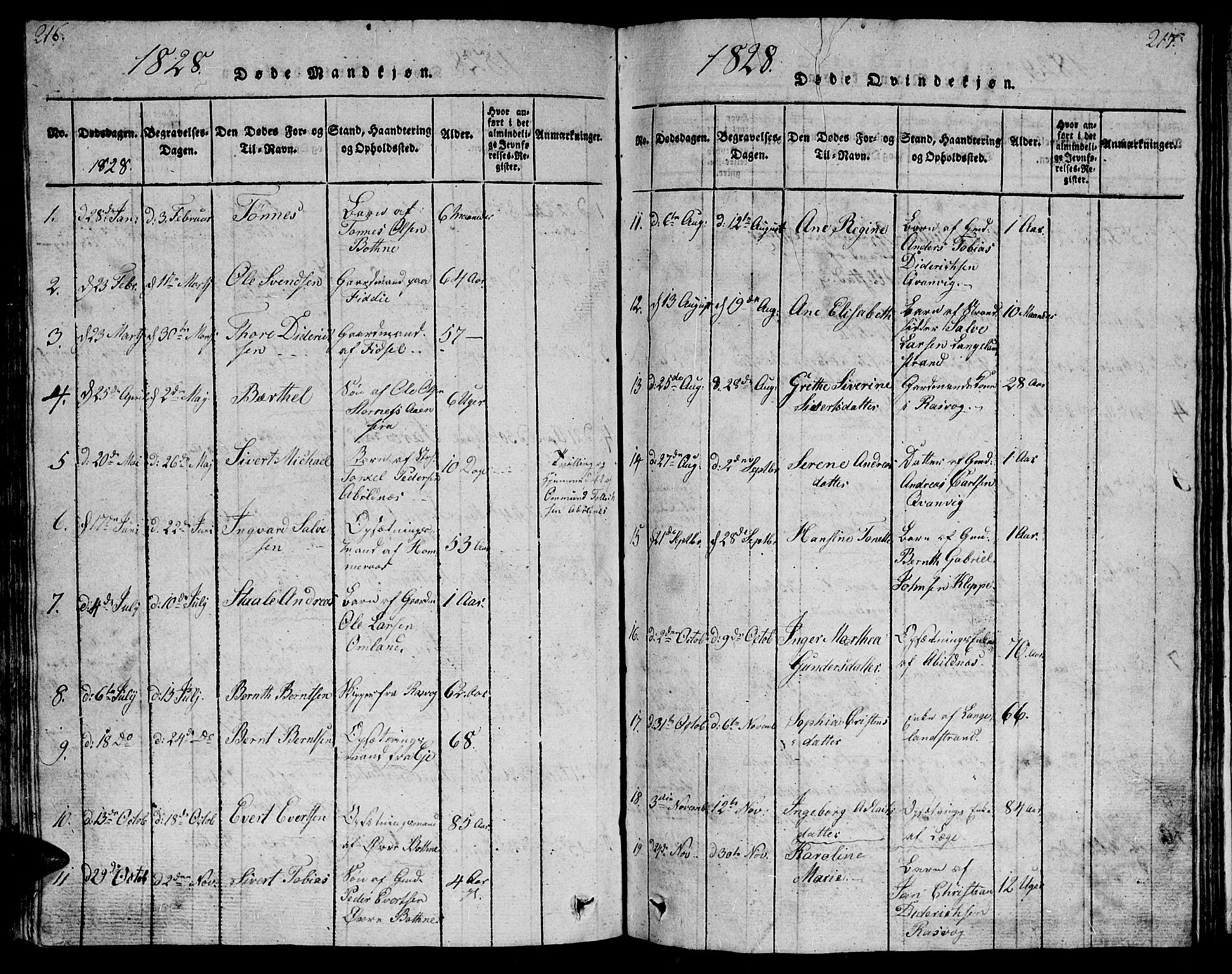 Flekkefjord sokneprestkontor, SAK/1111-0012/F/Fb/Fbb/L0001: Parish register (copy) no. B 1, 1815-1830, p. 216-217