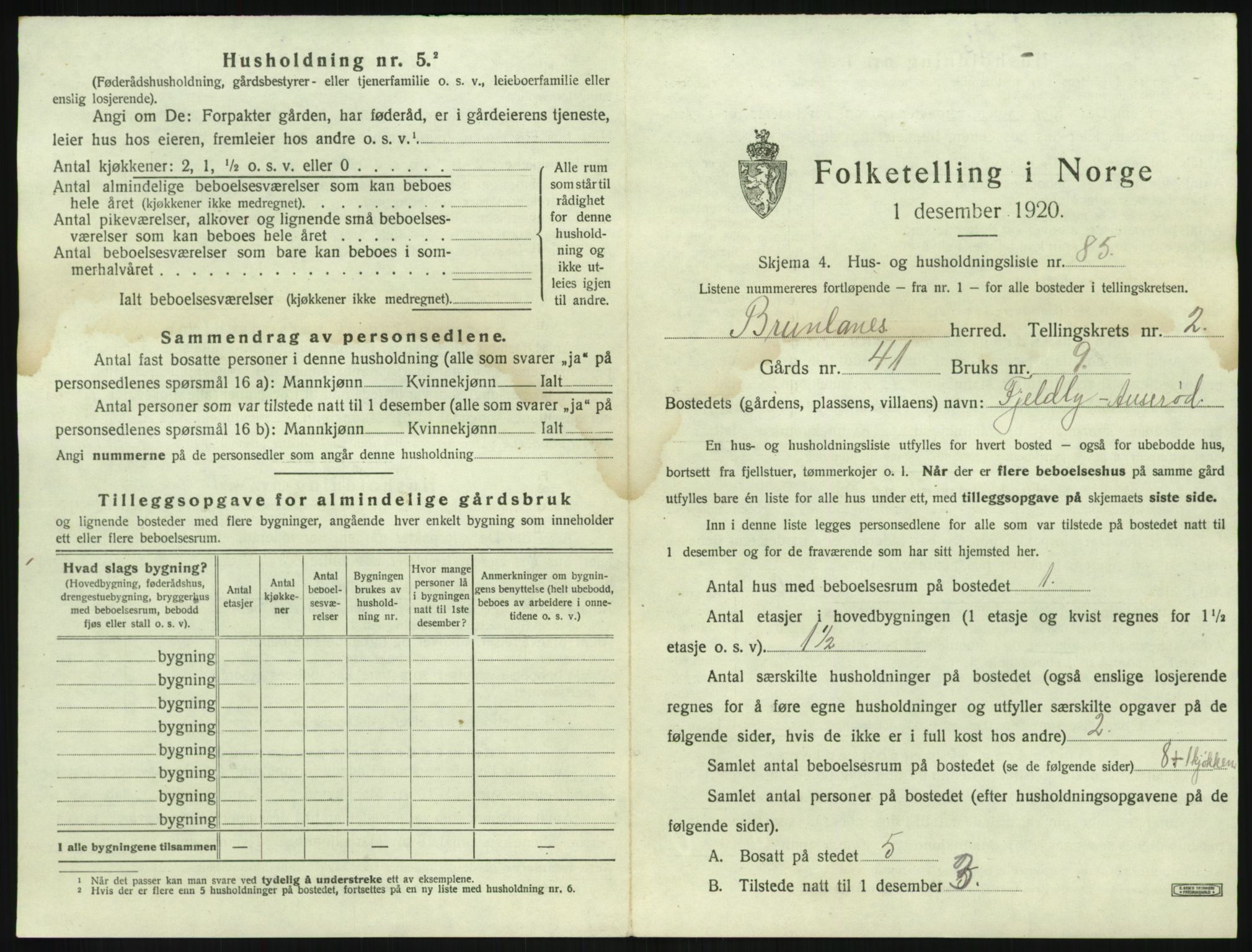 SAKO, 1920 census for Brunlanes, 1920, p. 481