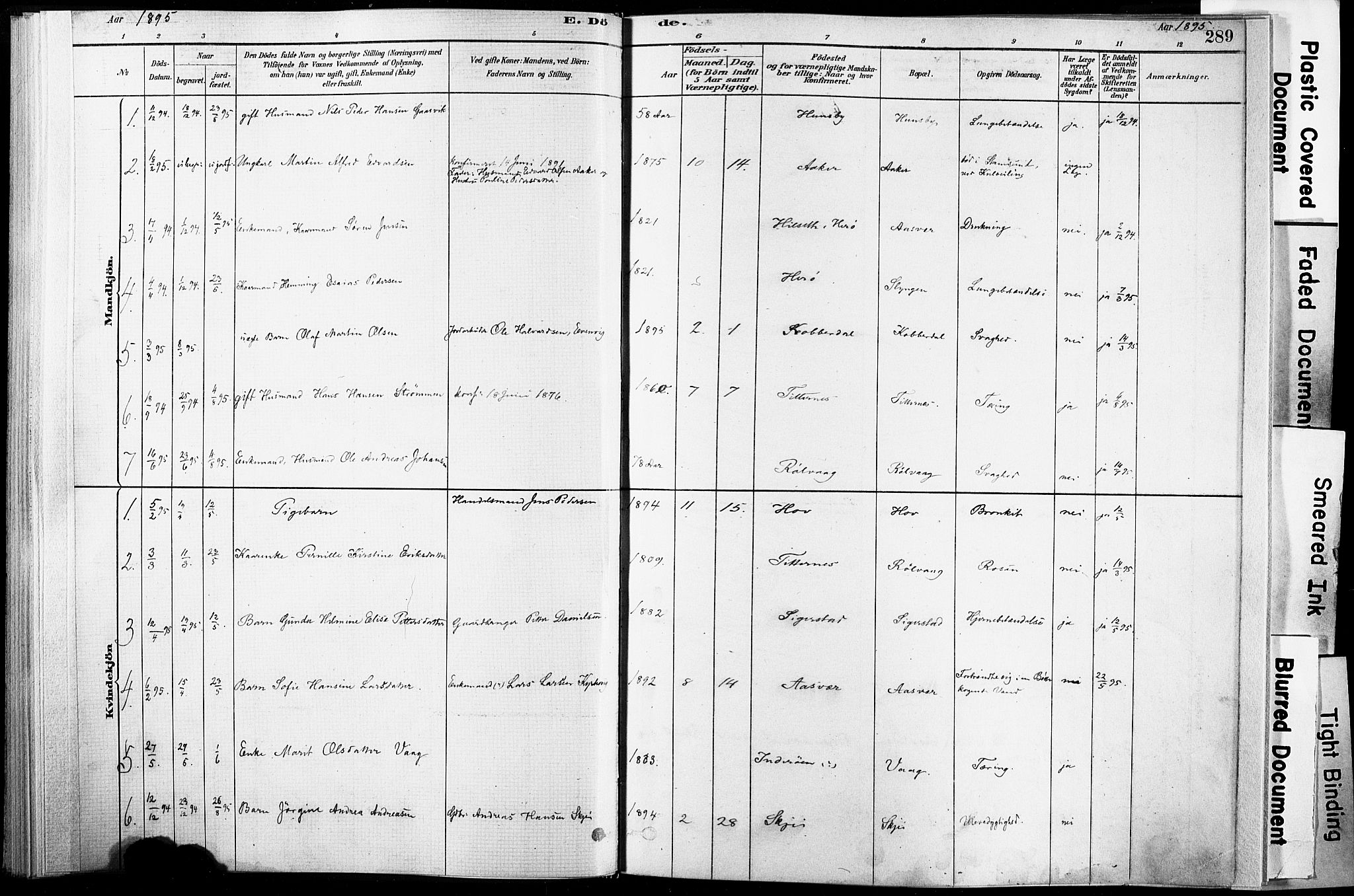 Ministerialprotokoller, klokkerbøker og fødselsregistre - Nordland, AV/SAT-A-1459/835/L0526: Parish register (official) no. 835A03II, 1881-1910, p. 289