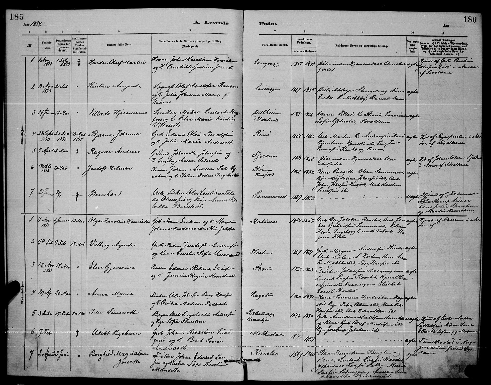 Ministerialprotokoller, klokkerbøker og fødselsregistre - Nordland, AV/SAT-A-1459/872/L1047: Parish register (copy) no. 872C03, 1880-1897, p. 185-186