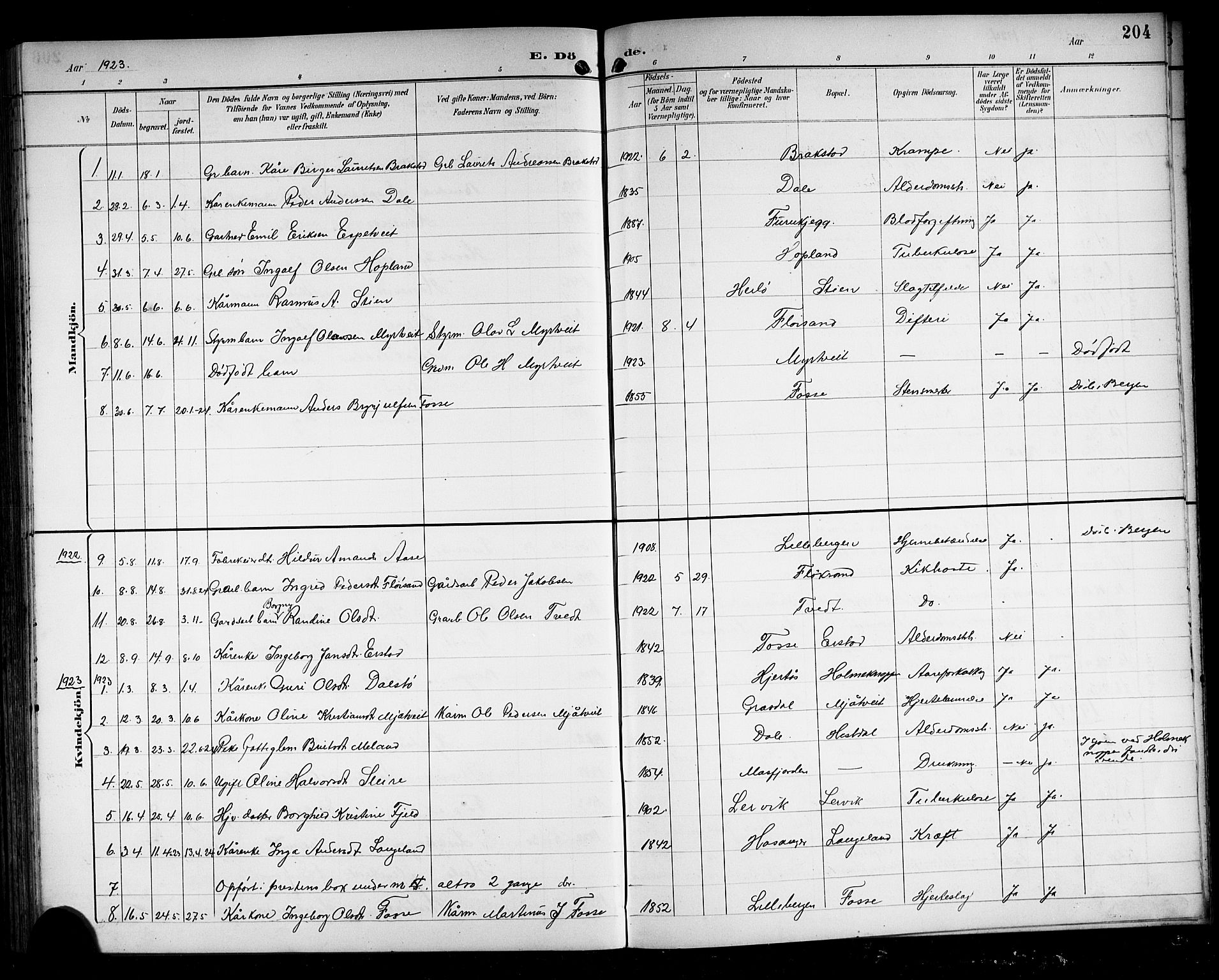 Alversund Sokneprestembete, SAB/A-73901/H/Ha/Hab: Parish register (copy) no. C 4, 1894-1924, p. 204
