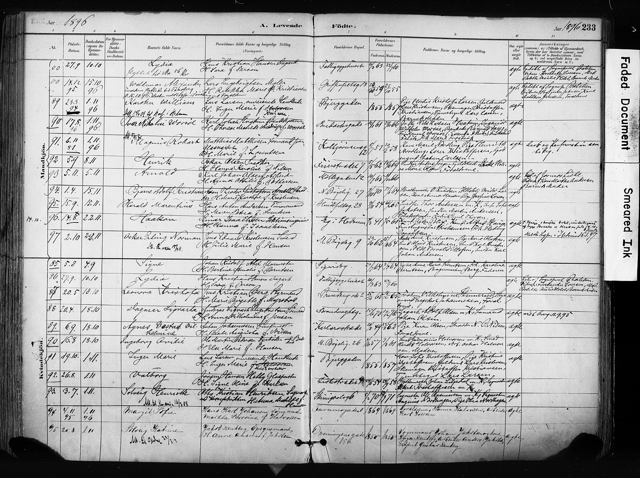 Larvik kirkebøker, AV/SAKO-A-352/F/Fa/L0009: Parish register (official) no. I 9, 1884-1904, p. 233