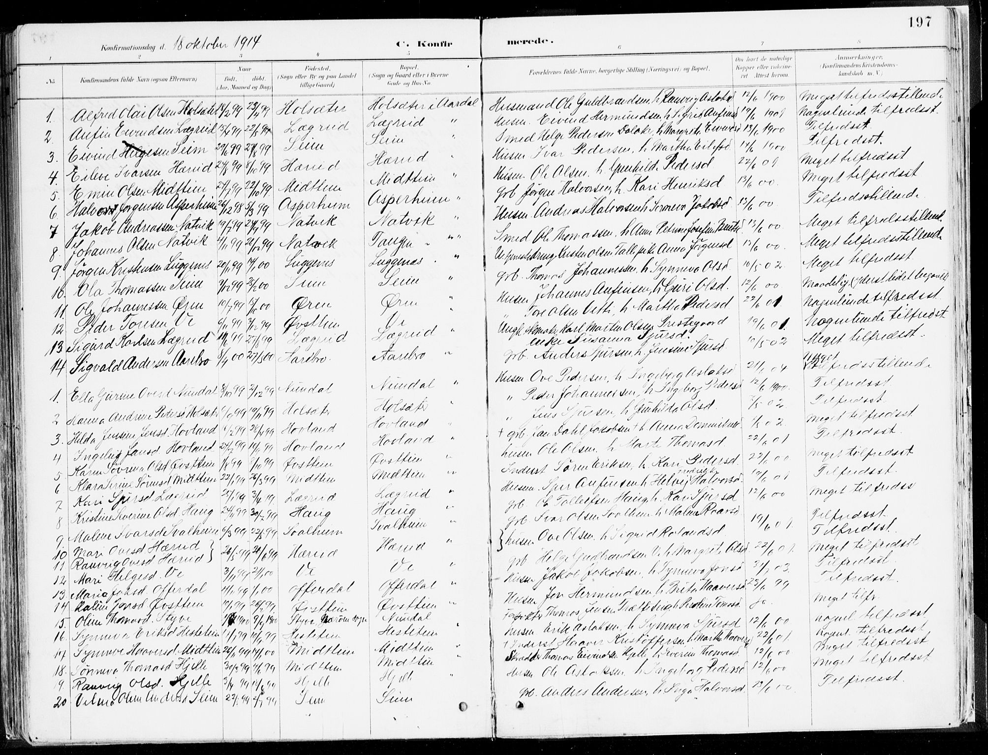 Årdal sokneprestembete, SAB/A-81701: Parish register (official) no. A 5, 1887-1917, p. 197
