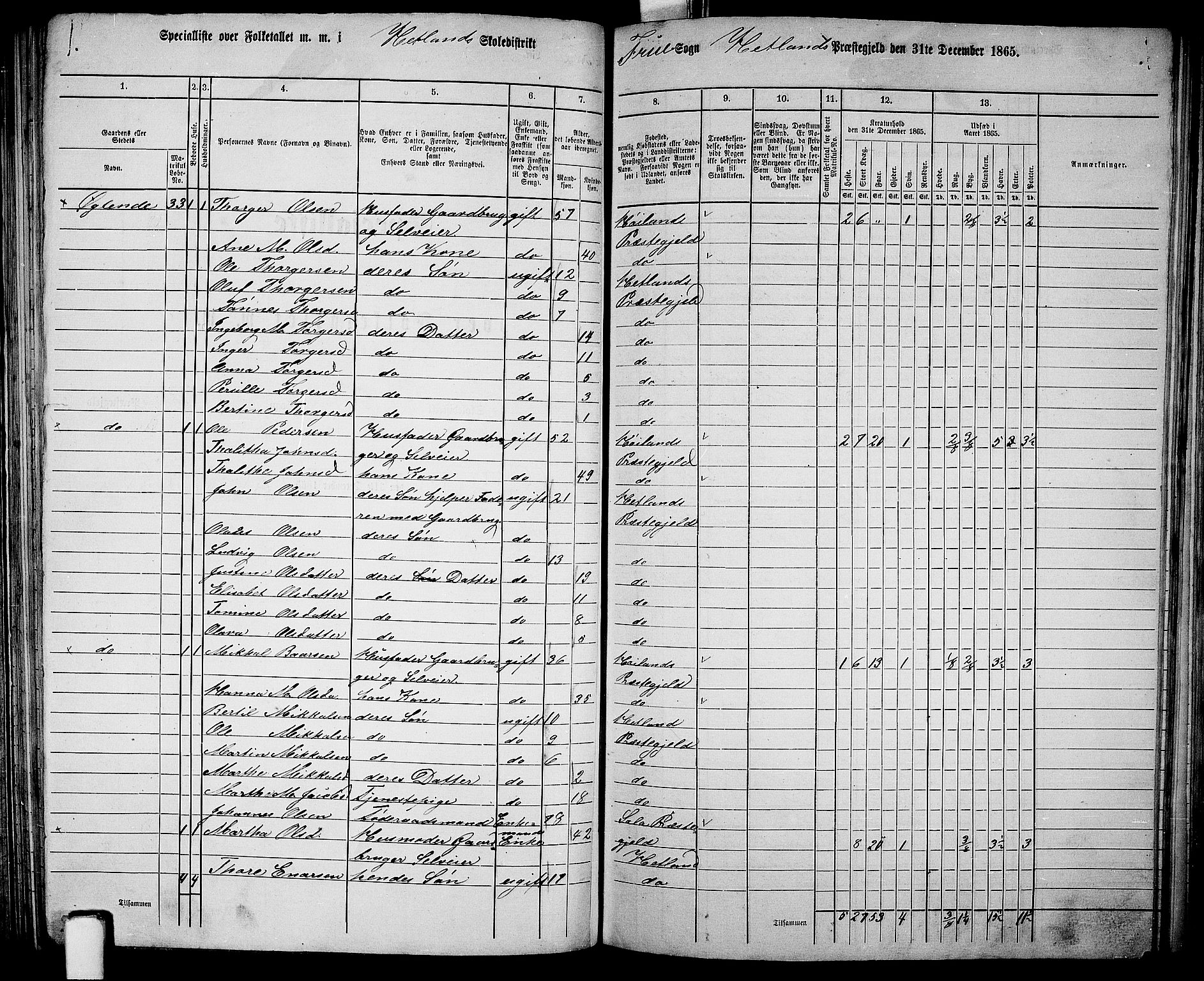 RA, 1865 census for Hetland, 1865, p. 115