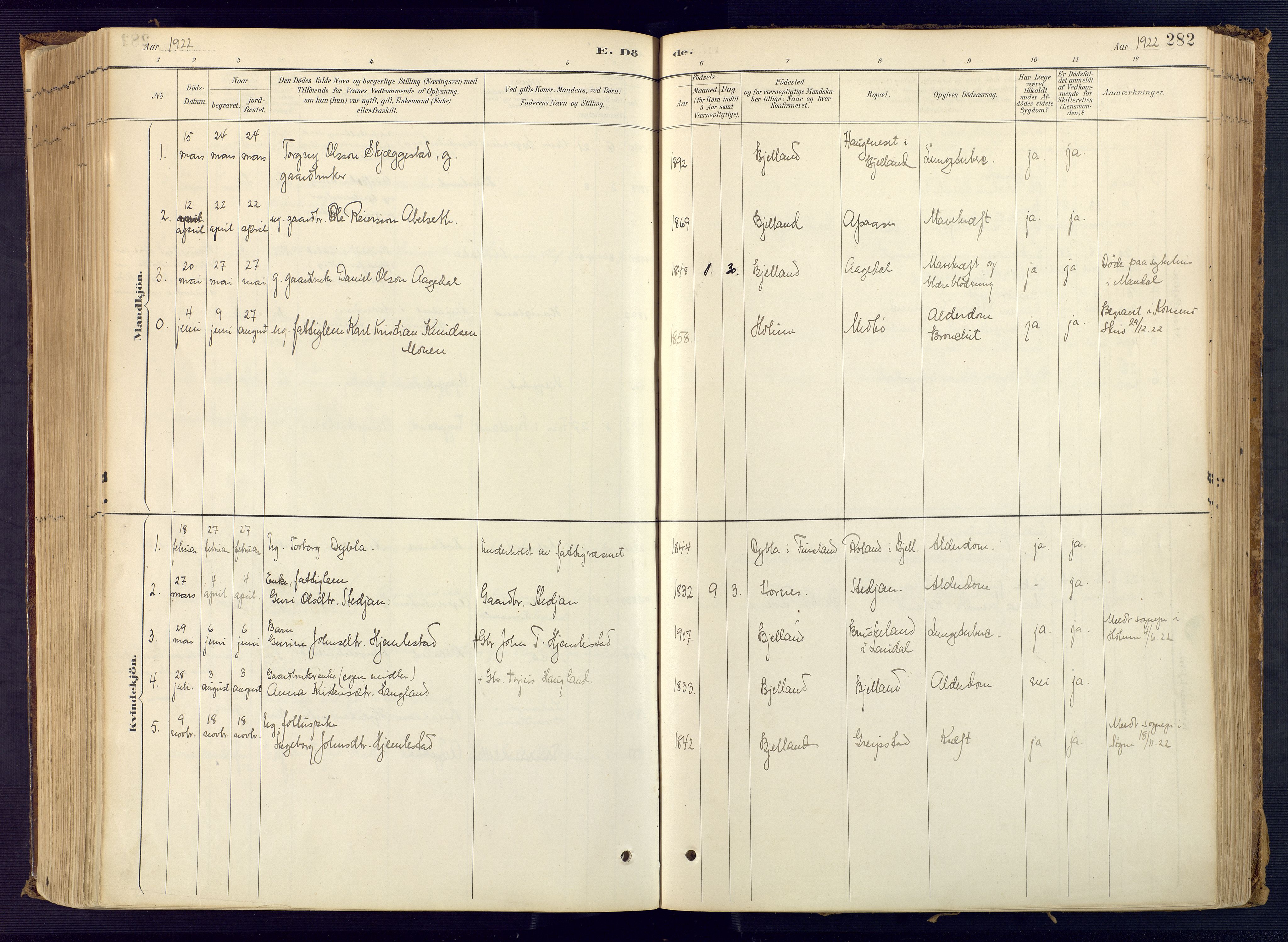 Bjelland sokneprestkontor, SAK/1111-0005/F/Fa/Faa/L0004: Parish register (official) no. A 4, 1887-1923, p. 282