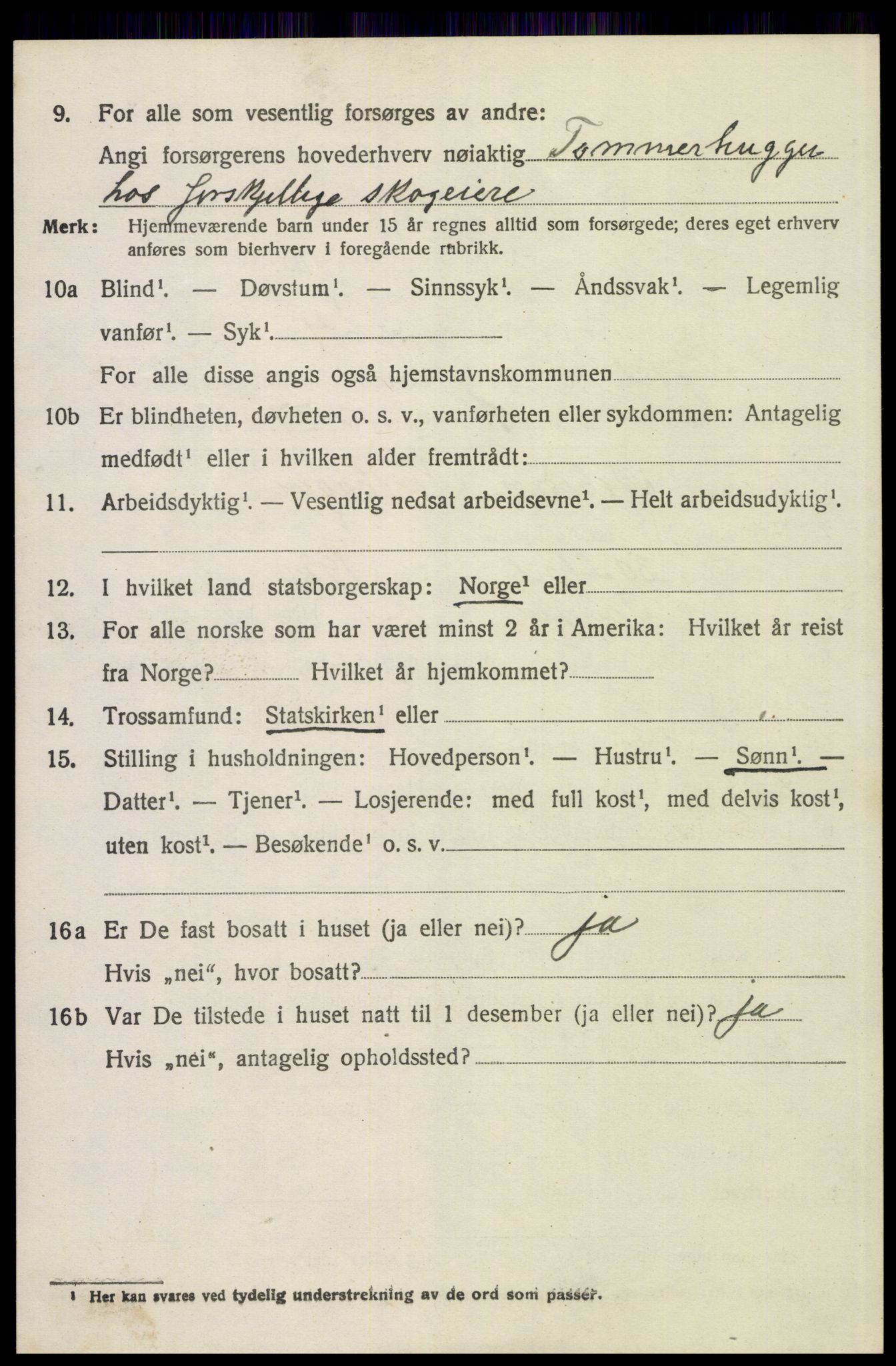 SAH, 1920 census for Trysil, 1920, p. 15222