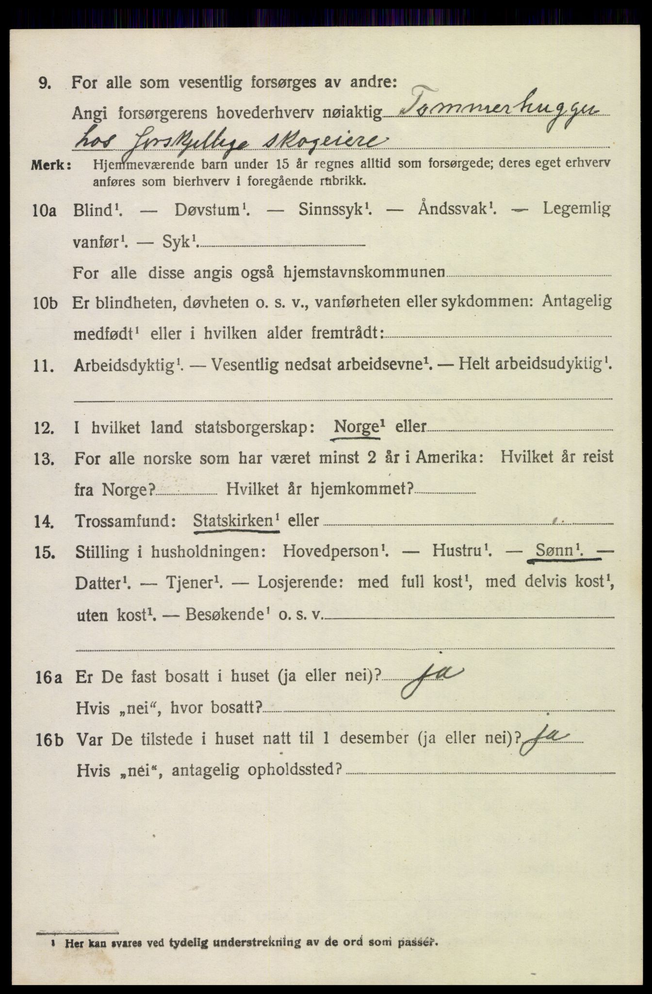 SAH, 1920 census for Trysil, 1920, p. 15222