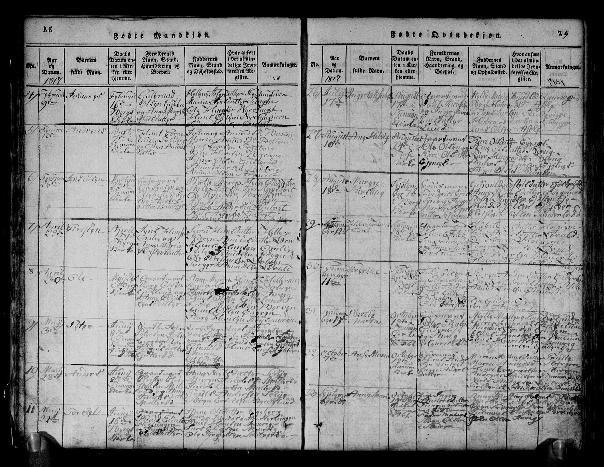 Brunlanes kirkebøker, AV/SAKO-A-342/G/Ga/L0001: Parish register (copy) no. I 1, 1814-1834, p. 28-29