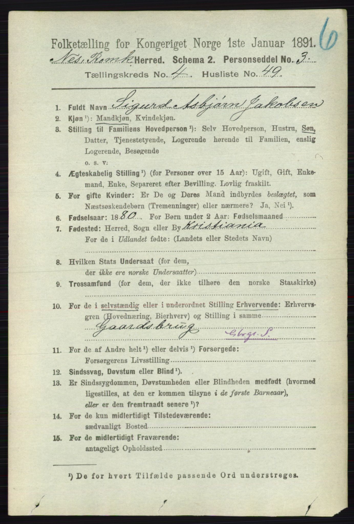 RA, 1891 census for 0236 Nes, 1891, p. 2536
