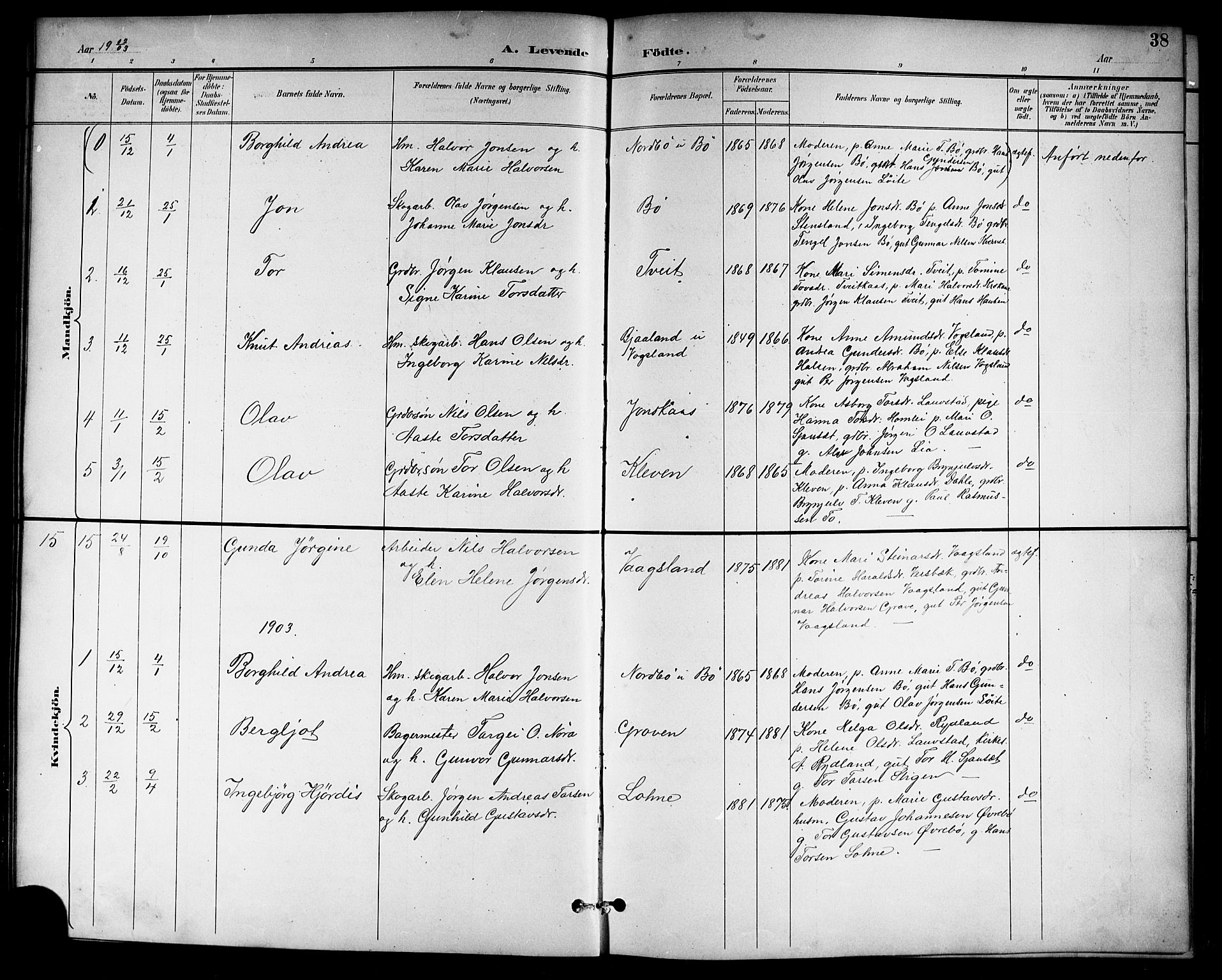 Drangedal kirkebøker, SAKO/A-258/G/Gb/L0002: Parish register (copy) no. II 2, 1895-1918, p. 38