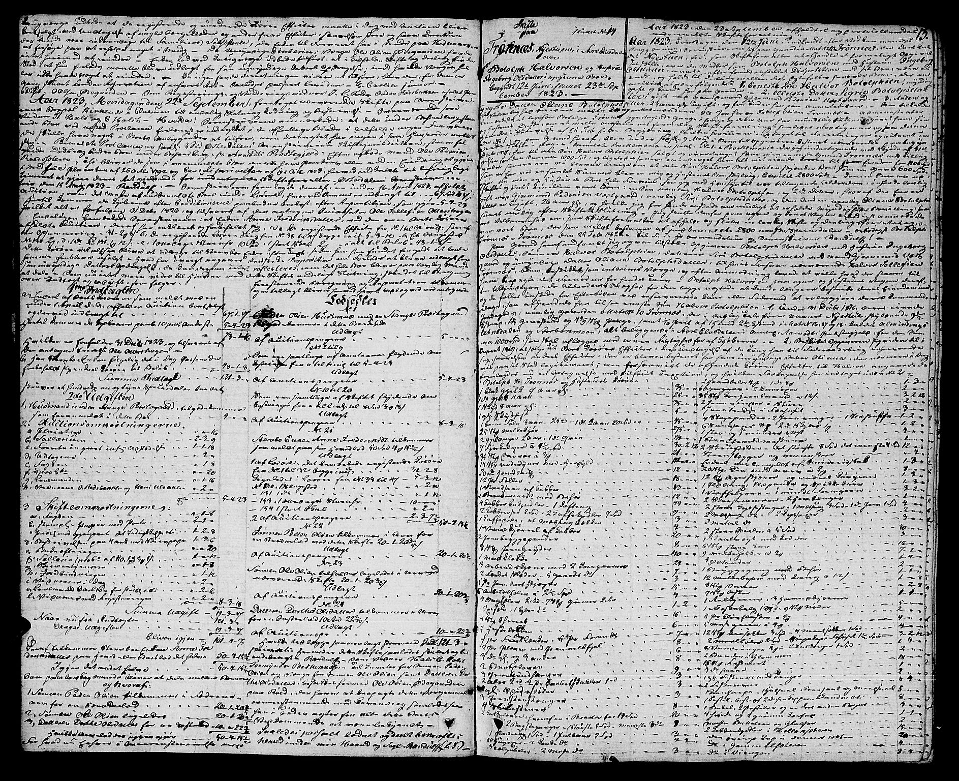Sør-Østerdal sorenskriveri, AV/SAH-TING-018/J/Jb/L0001: Skifteprotokoll, 1823-1828, p. 12b-13a