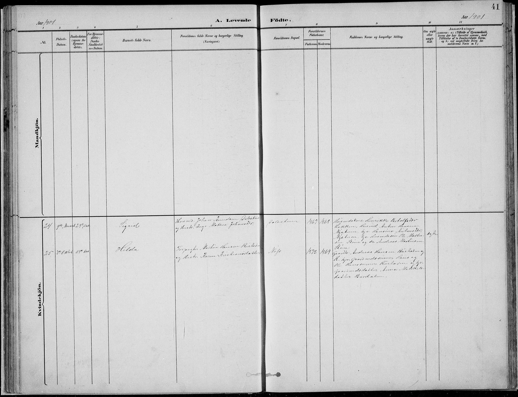 Nordre Land prestekontor, SAH/PREST-124/H/Ha/Hab/L0013: Parish register (copy) no. 13, 1891-1904, p. 41