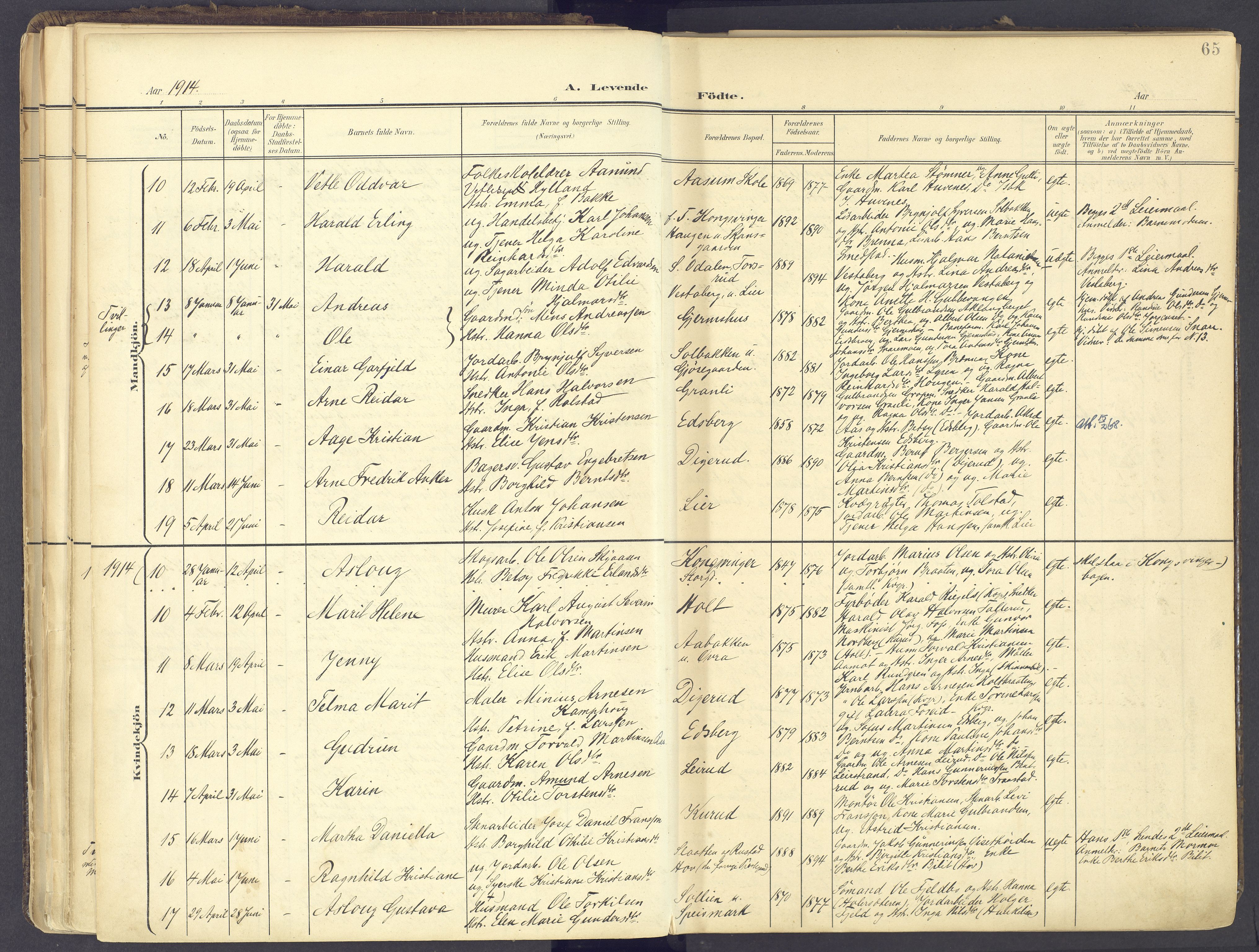 Vinger prestekontor, AV/SAH-PREST-024/H/Ha/Haa/L0017: Parish register (official) no. 17, 1901-1927, p. 65