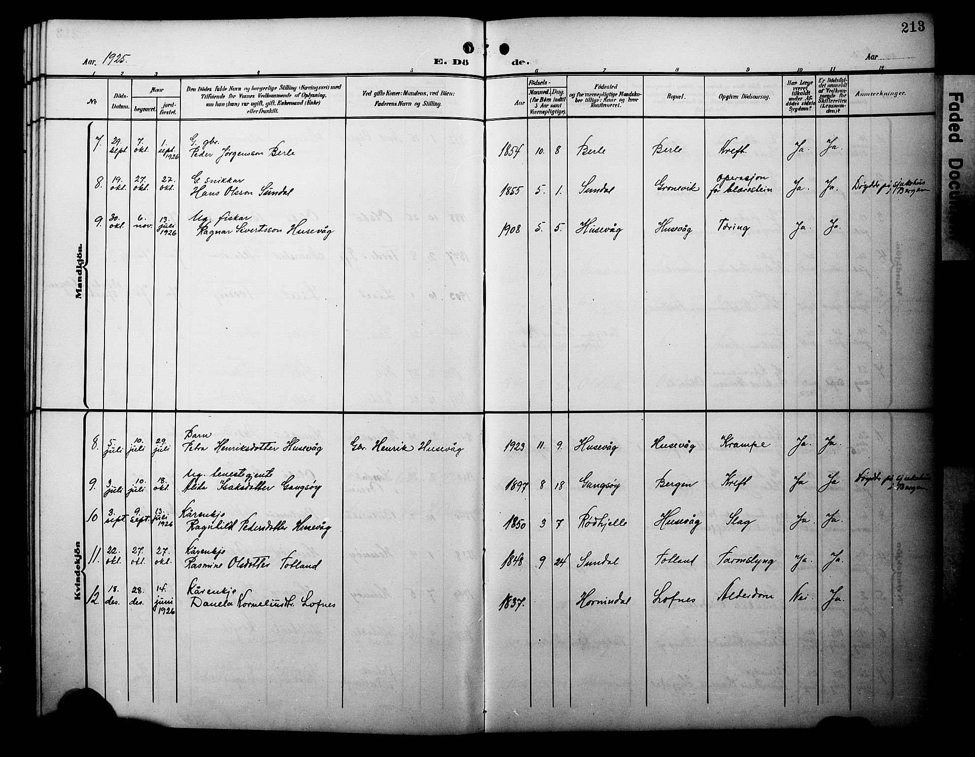 Davik sokneprestembete, AV/SAB-A-79701/H/Hab/Habc/L0003: Parish register (copy) no. C 3, 1907-1929, p. 213