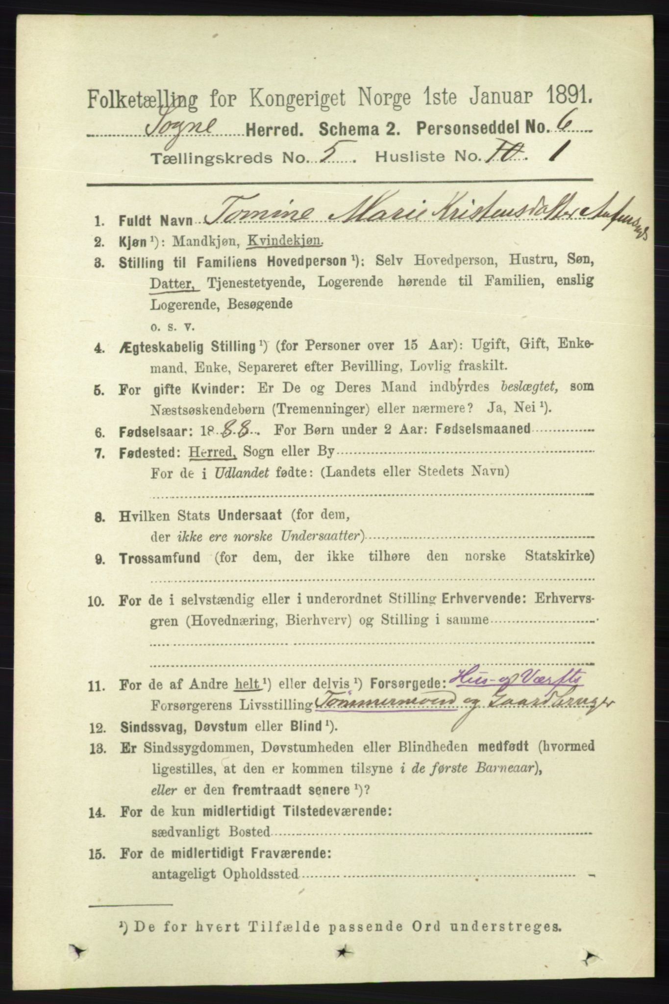 RA, 1891 census for 1018 Søgne, 1891, p. 913