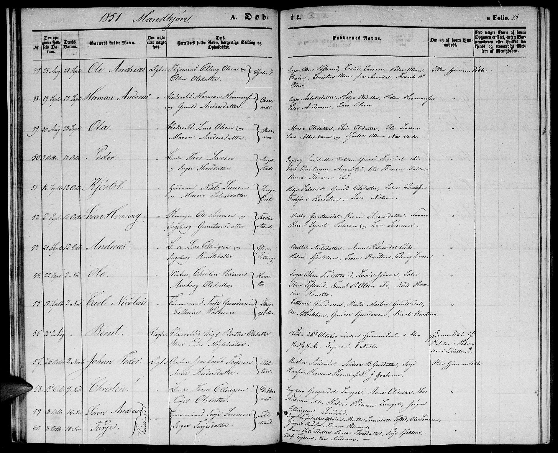 Holt sokneprestkontor, AV/SAK-1111-0021/F/Fb/L0007: Parish register (copy) no. B 7, 1849-1858, p. 25