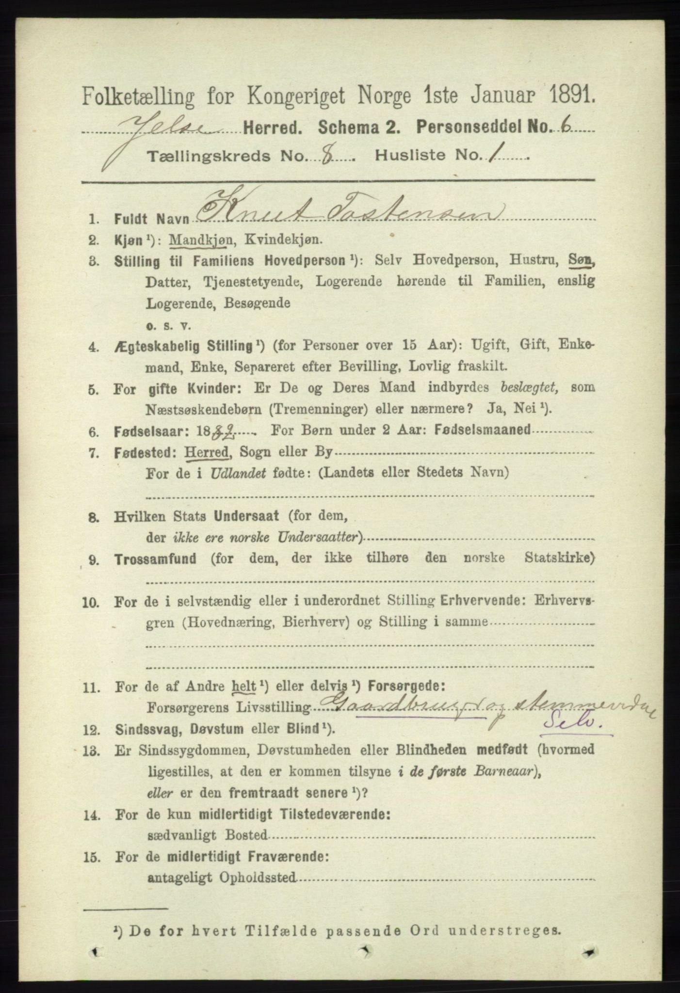 RA, 1891 census for 1138 Jelsa, 1891, p. 1808