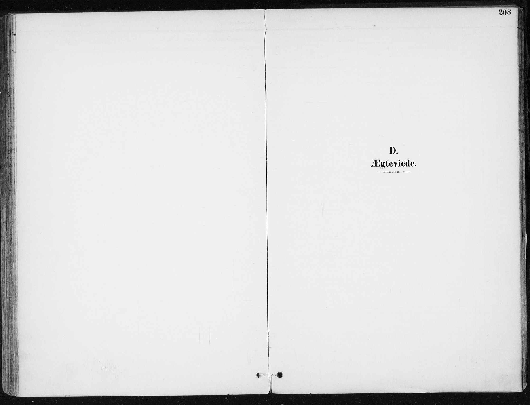 Sem kirkebøker, AV/SAKO-A-5/F/Fb/L0005: Parish register (official) no. II 5, 1892-1904, p. 208