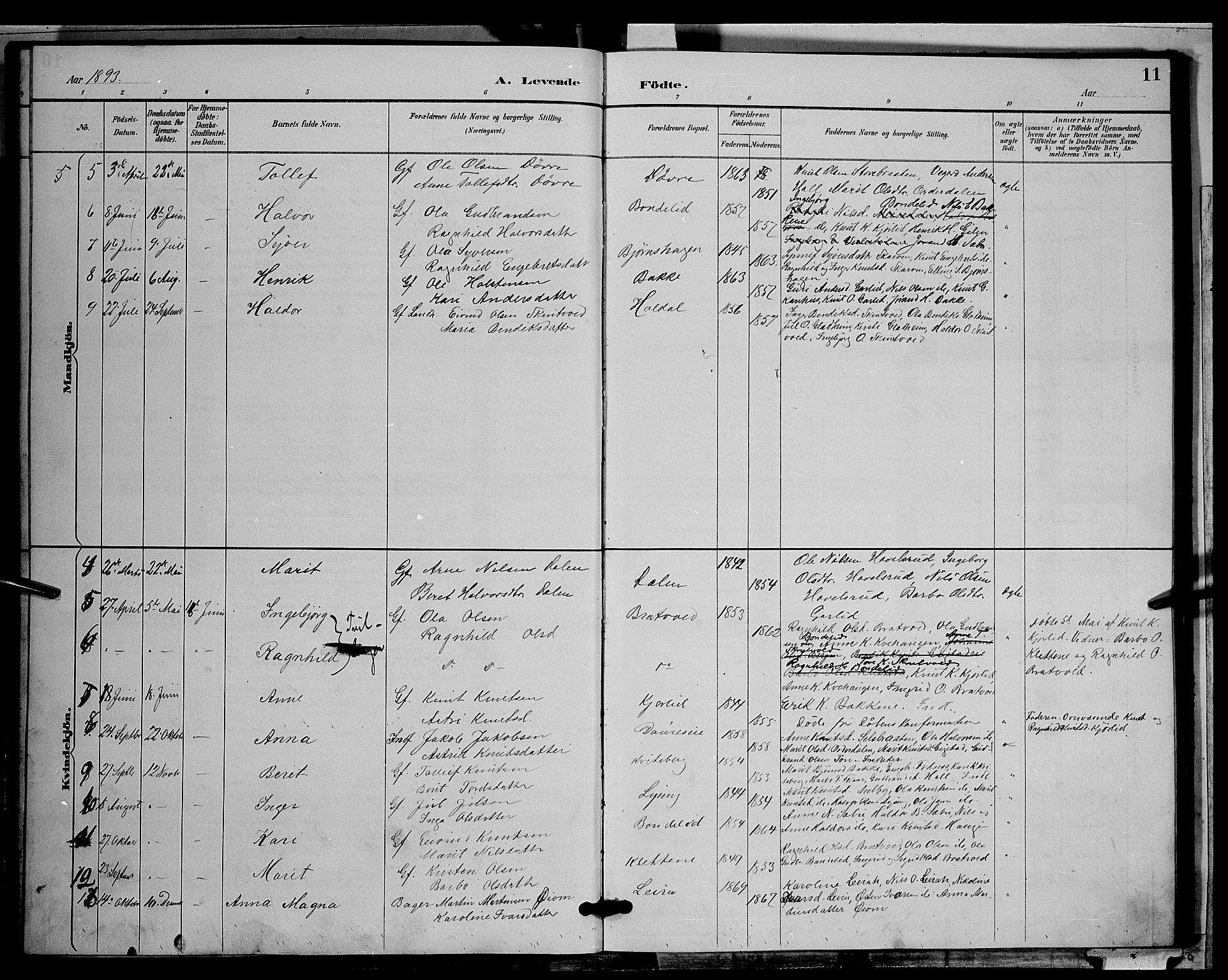 Nord-Aurdal prestekontor, AV/SAH-PREST-132/H/Ha/Hab/L0009: Parish register (copy) no. 9, 1887-1897, p. 11