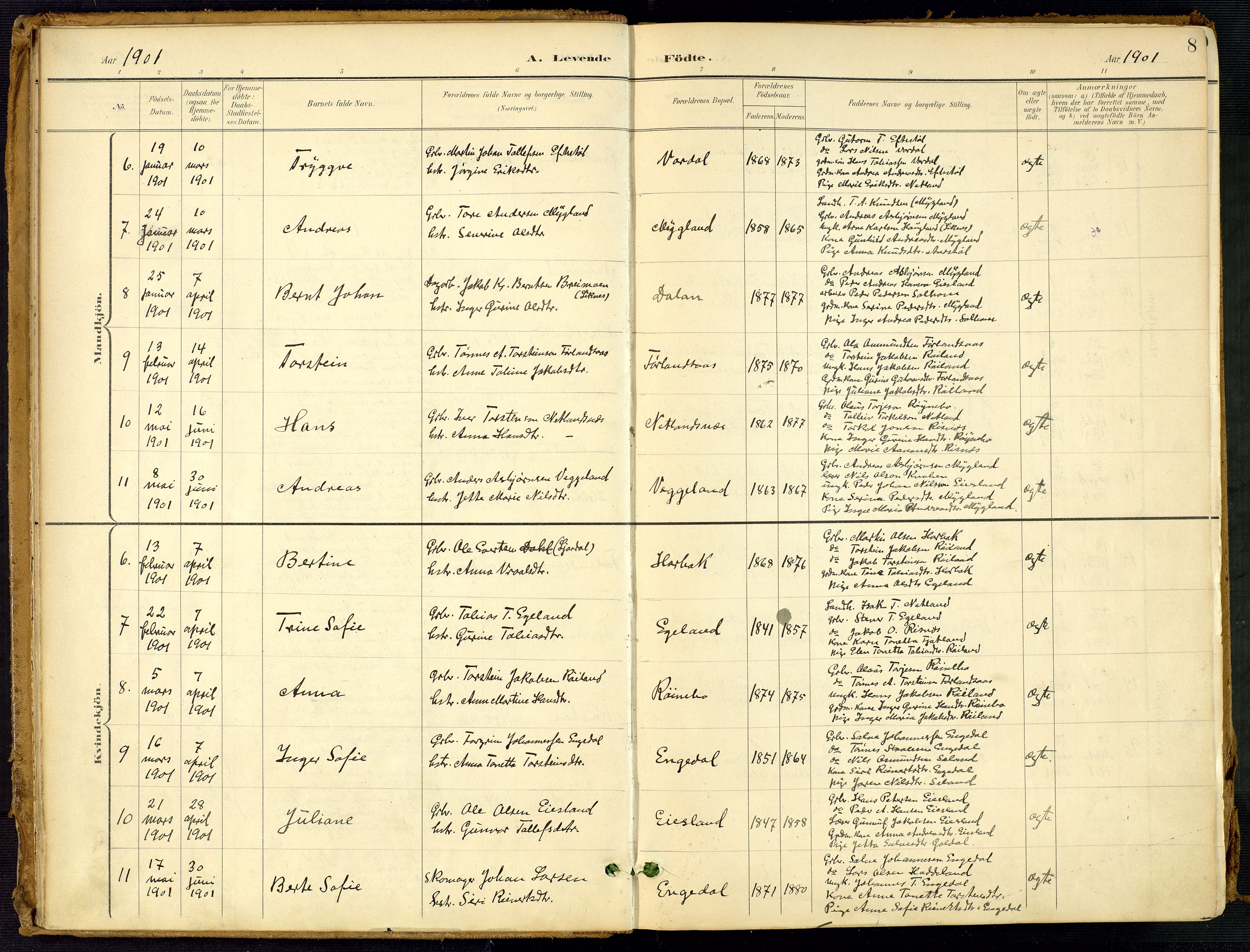 Fjotland sokneprestkontor, SAK/1111-0010/F/Fa/L0003: Parish register (official) no. A 3, 1899-1917, p. 8