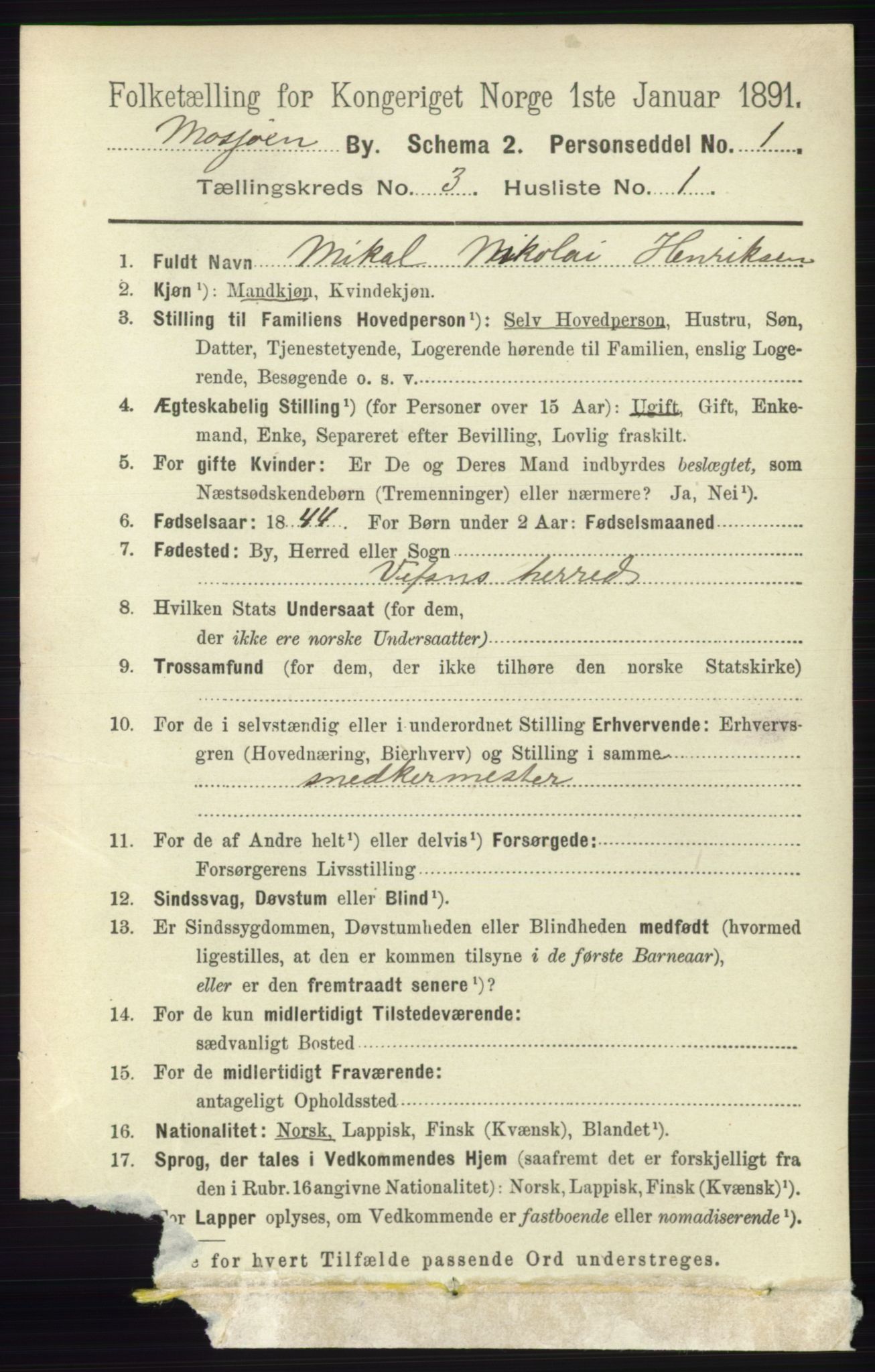 RA, 1891 census for 1802 Mosjøen, 1891, p. 1255
