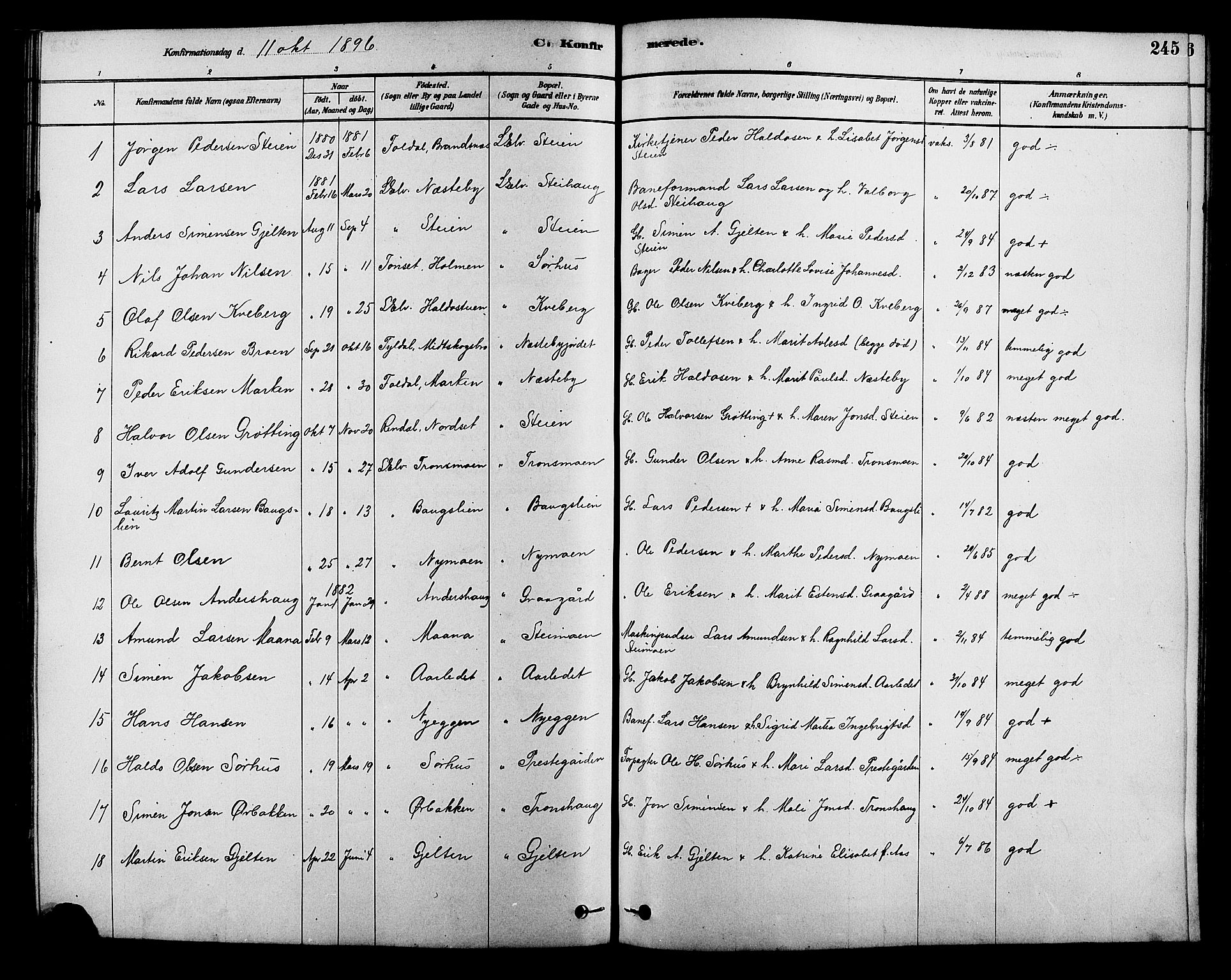 Alvdal prestekontor, SAH/PREST-060/H/Ha/Hab/L0003: Parish register (copy) no. 3, 1878-1907, p. 245