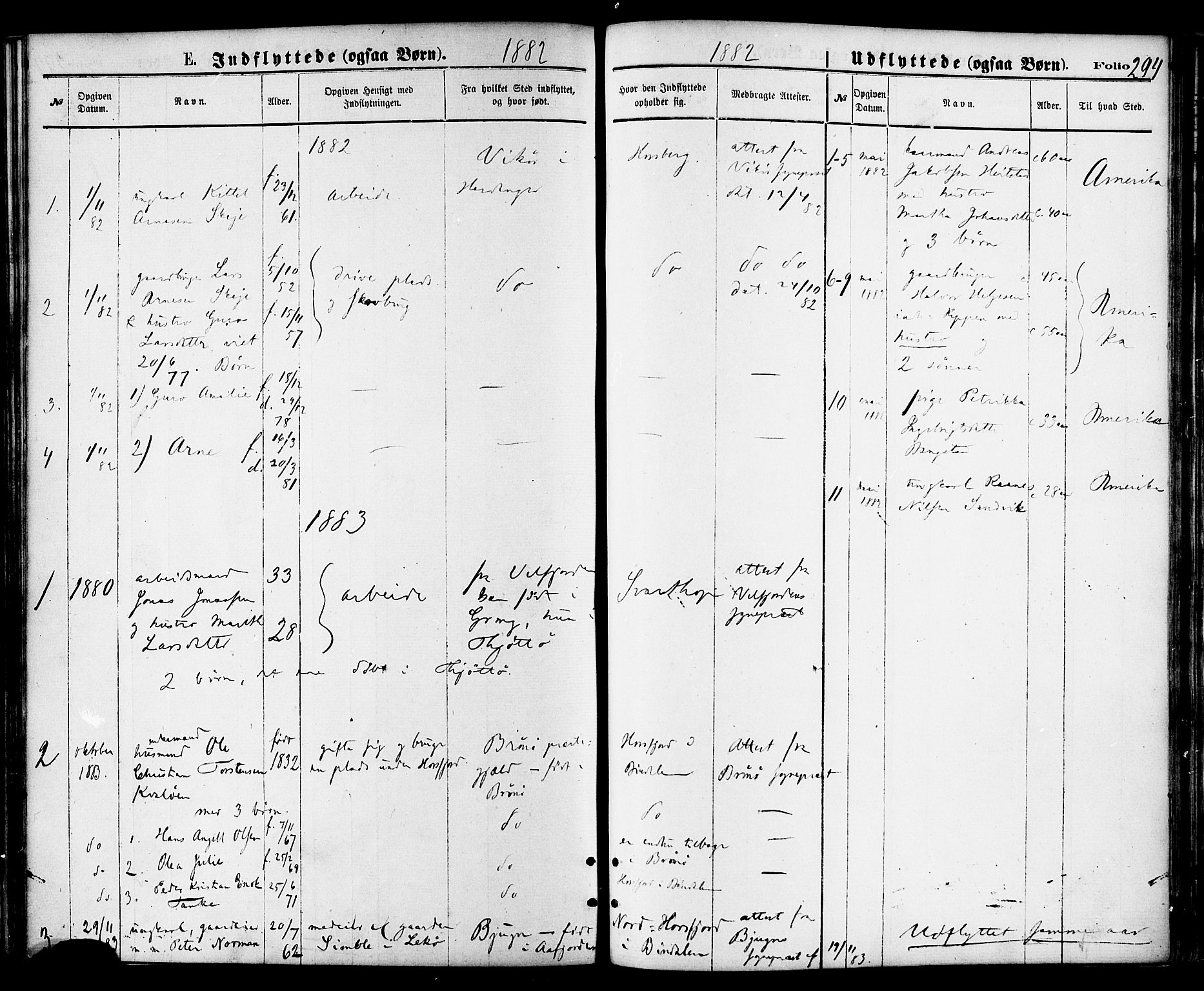 Ministerialprotokoller, klokkerbøker og fødselsregistre - Nordland, AV/SAT-A-1459/810/L0148: Parish register (official) no. 810A09 /1, 1874-1884, p. 294