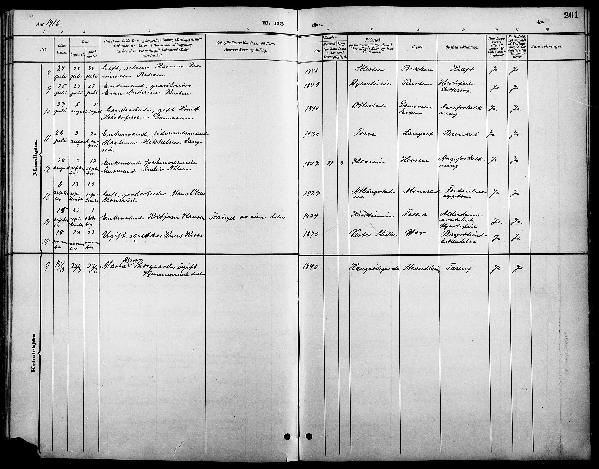 Stange prestekontor, SAH/PREST-002/L/L0011: Parish register (copy) no. 11, 1895-1917, p. 261