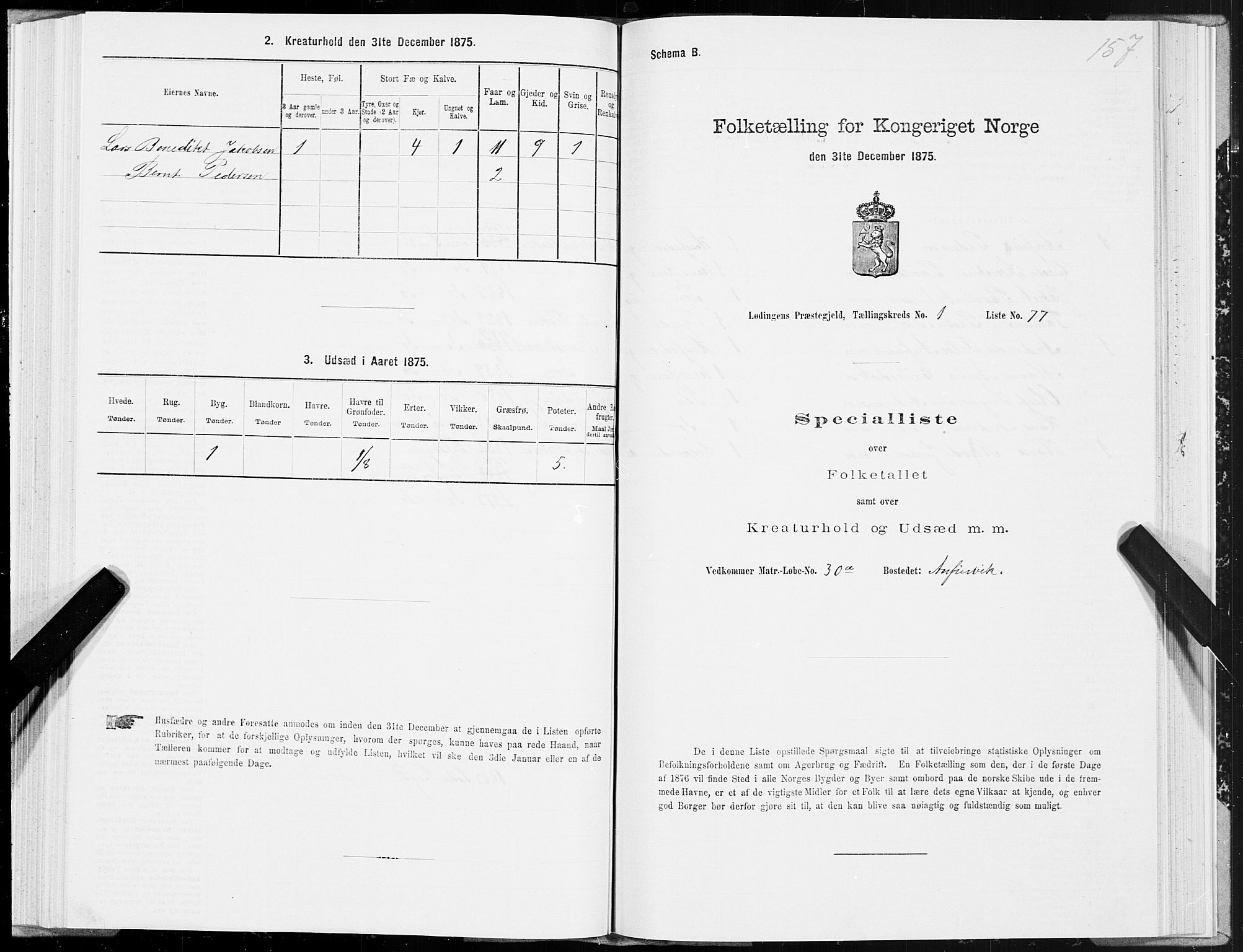 SAT, 1875 census for 1851P Lødingen, 1875, p. 1157