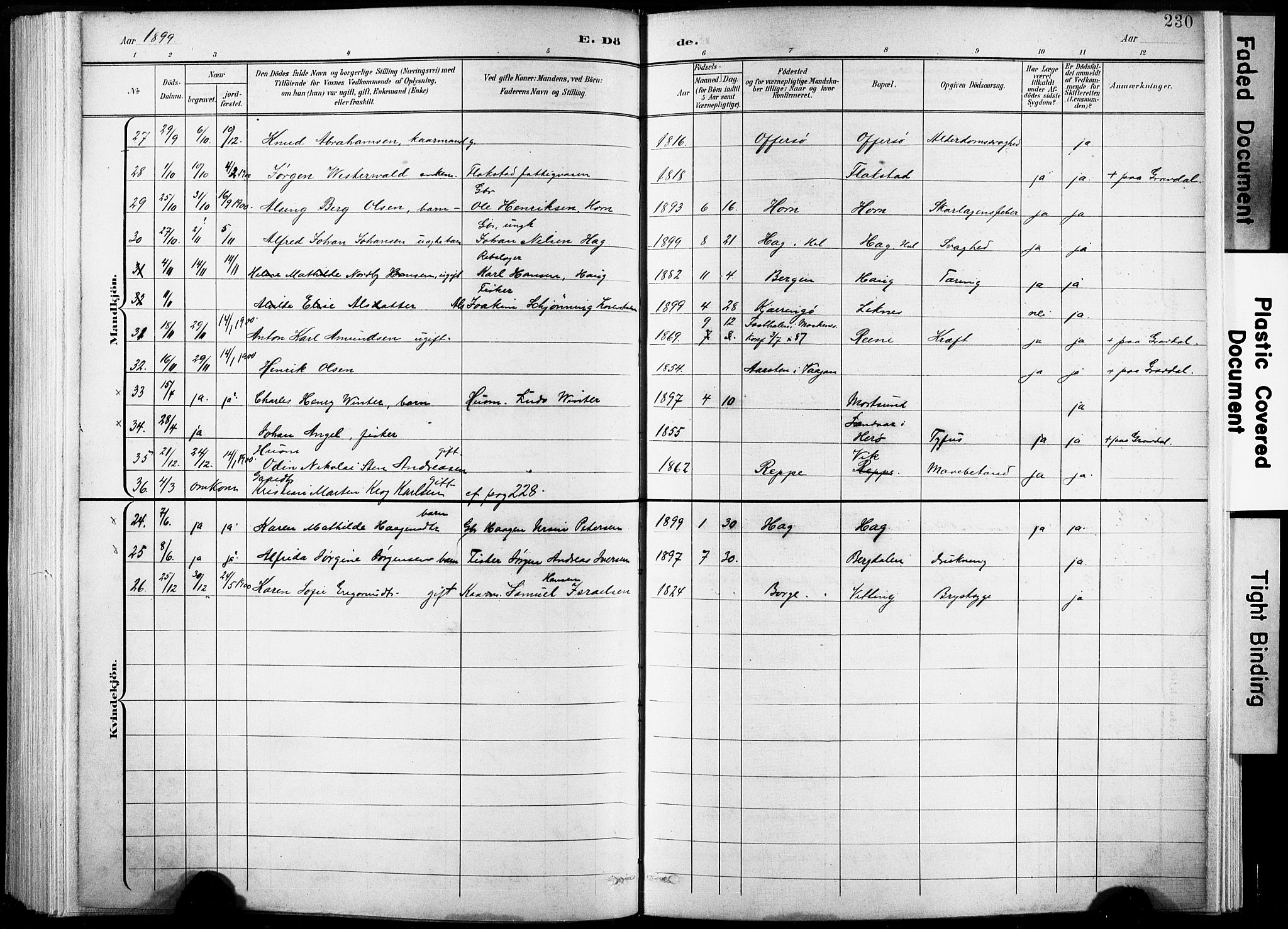 Ministerialprotokoller, klokkerbøker og fødselsregistre - Nordland, AV/SAT-A-1459/881/L1151: Parish register (official) no. 881A04, 1899-1907, p. 230