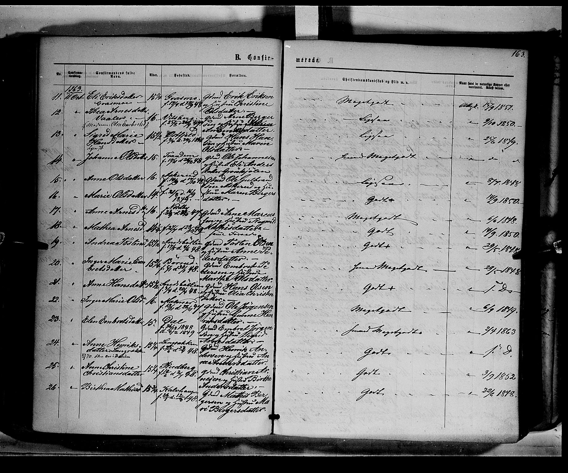 Eidskog prestekontor, AV/SAH-PREST-026/H/Ha/Haa/L0001: Parish register (official) no. 1, 1860-1867, p. 163