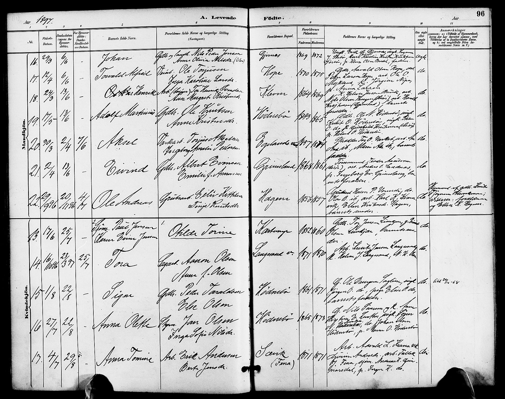 Søndeled sokneprestkontor, AV/SAK-1111-0038/F/Fa/L0005: Parish register (official) no. A 5, 1889-1899, p. 96