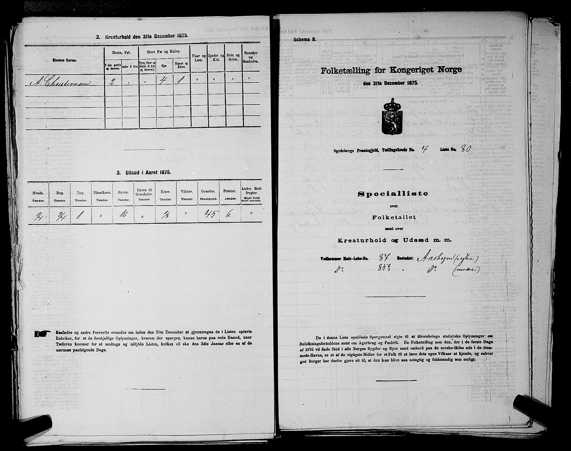 RA, 1875 census for 0123P Spydeberg, 1875, p. 856