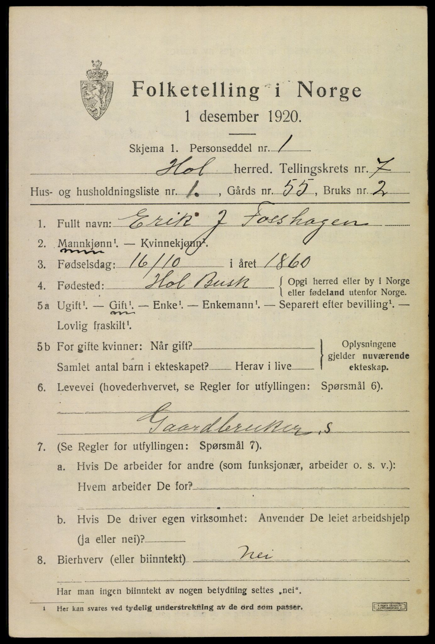 SAKO, 1920 census for Hol (Buskerud), 1920, p. 3507