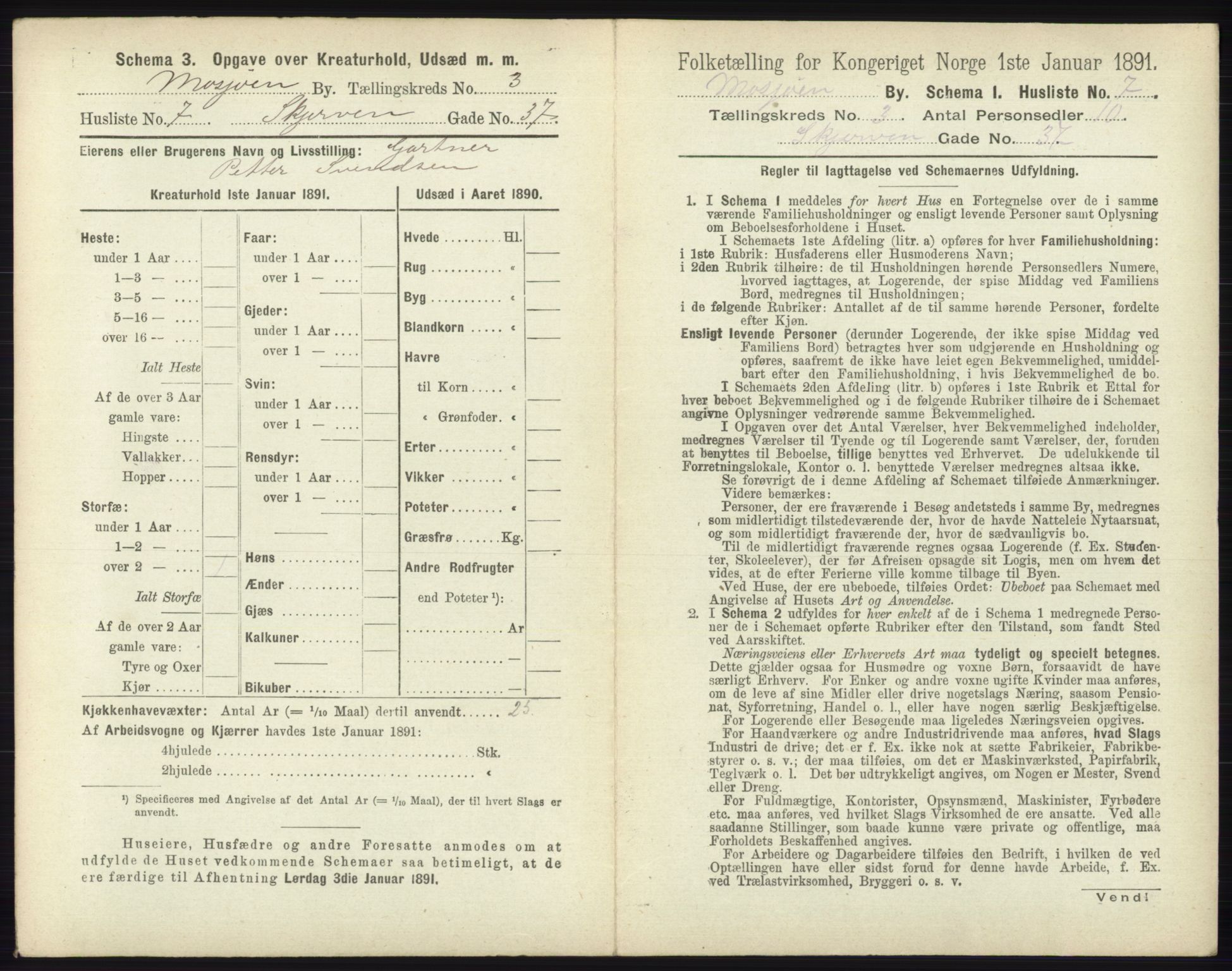 RA, 1891 census for 1802 Mosjøen, 1891, p. 1140