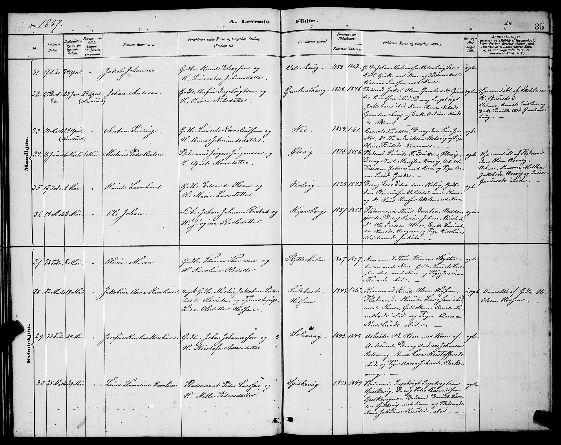 Ministerialprotokoller, klokkerbøker og fødselsregistre - Møre og Romsdal, AV/SAT-A-1454/528/L0431: Parish register (copy) no. 528C12, 1885-1898, p. 35