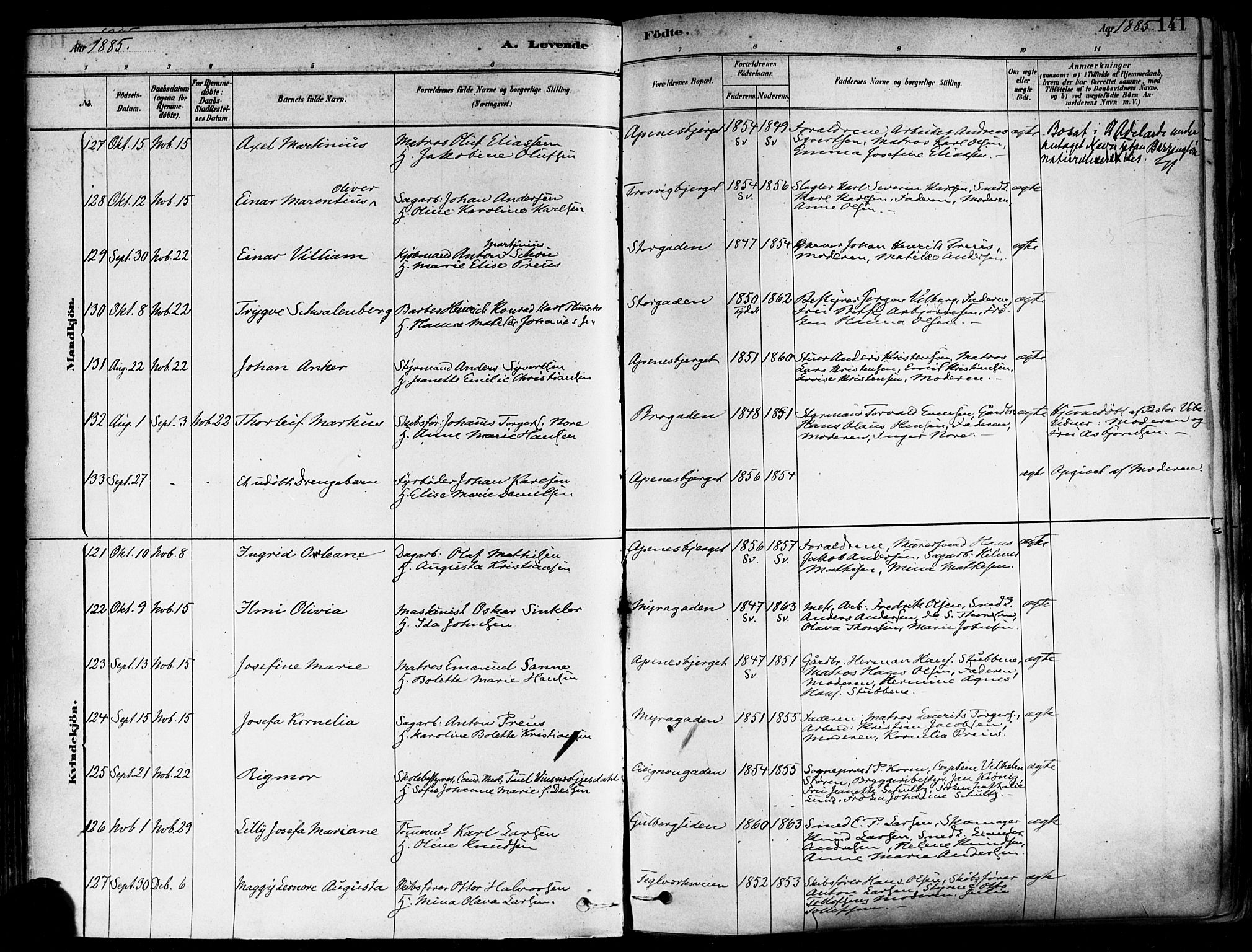 Fredrikstad domkirkes prestekontor Kirkebøker, SAO/A-10906/F/Fa/L0002: Parish register (official) no. 2, 1878-1894, p. 141