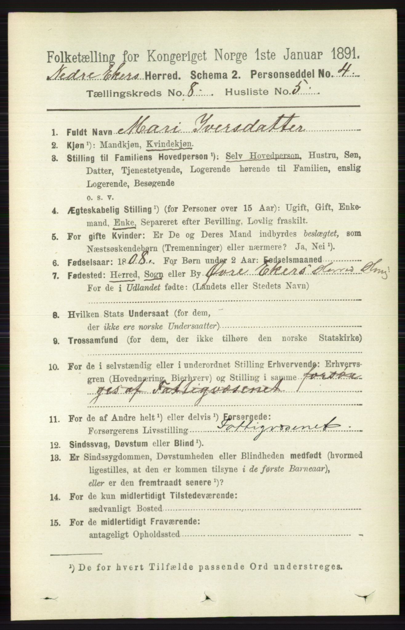 RA, 1891 census for 0625 Nedre Eiker, 1891, p. 3984