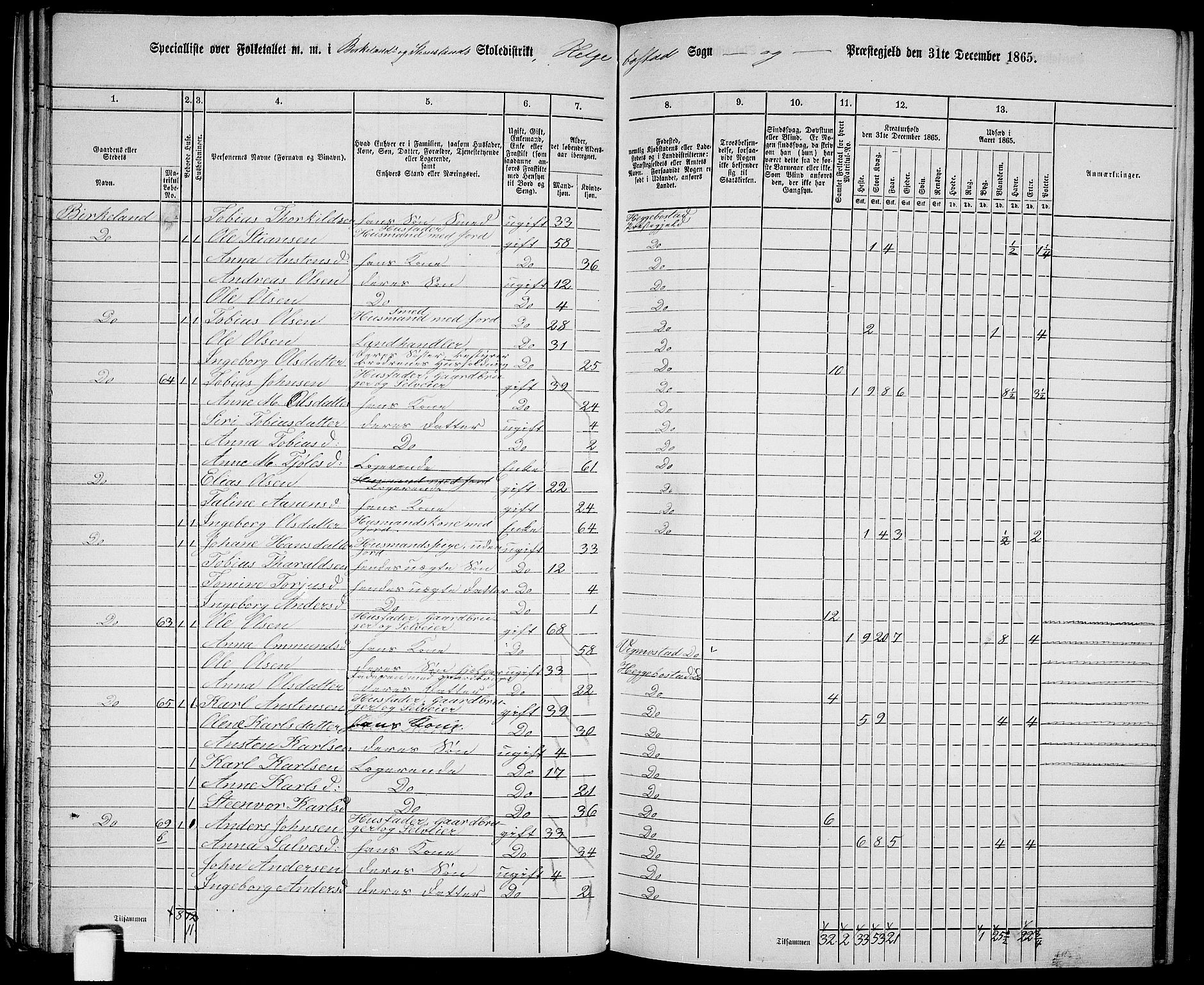 RA, 1865 census for Hægebostad, 1865, p. 41