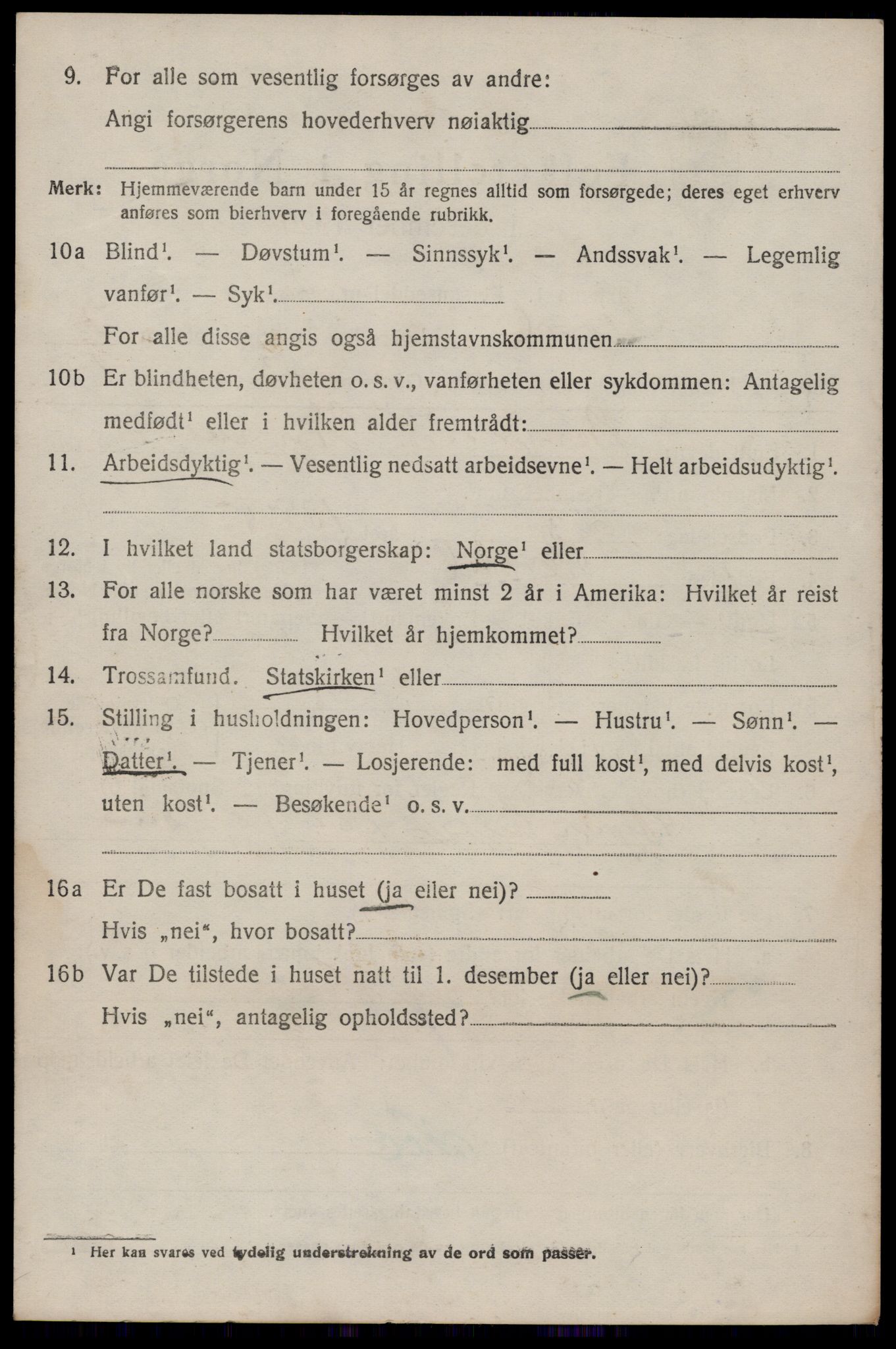 SAKO, 1920 census for Seljord, 1920, p. 3881