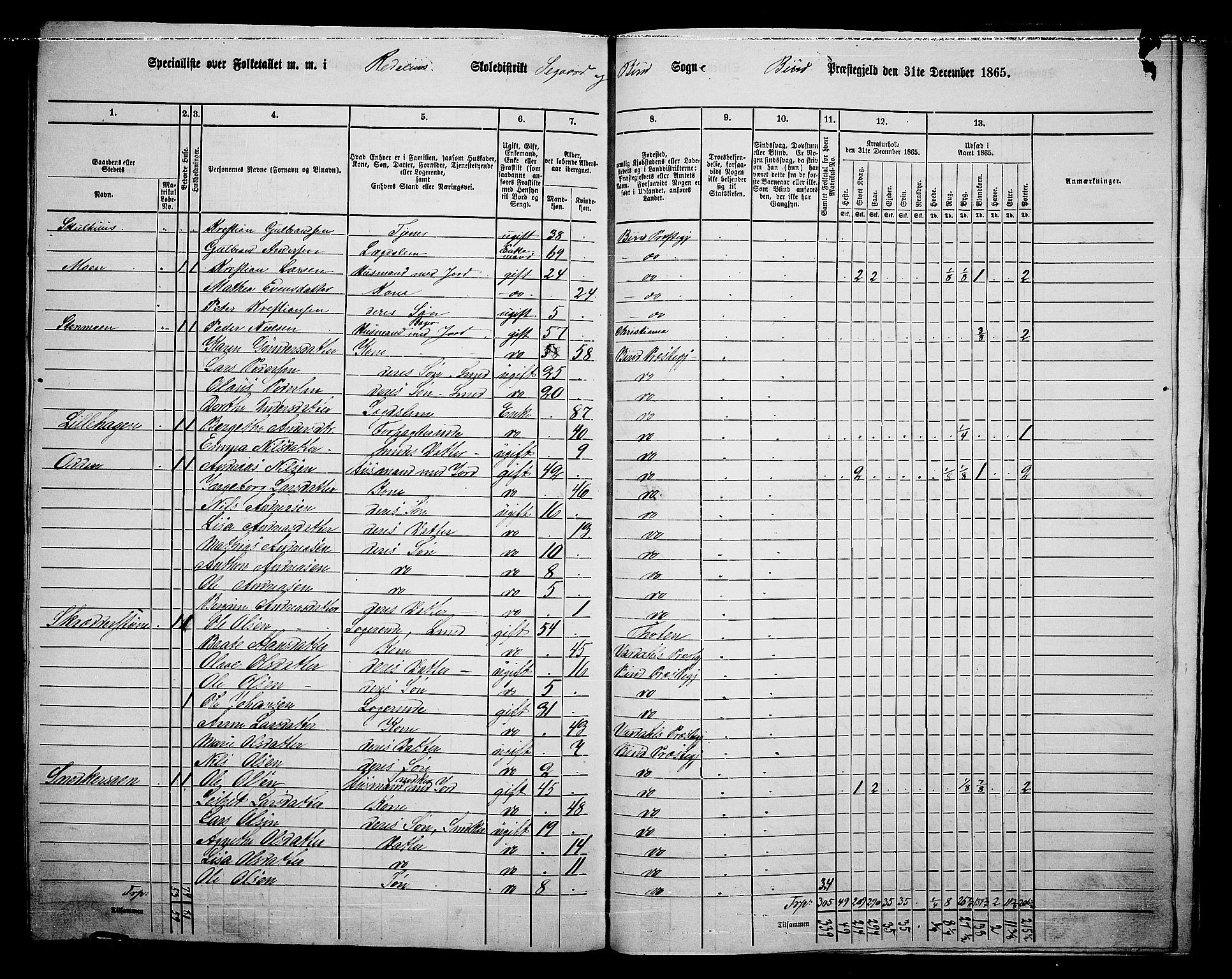 RA, 1865 census for Biri, 1865, p. 208