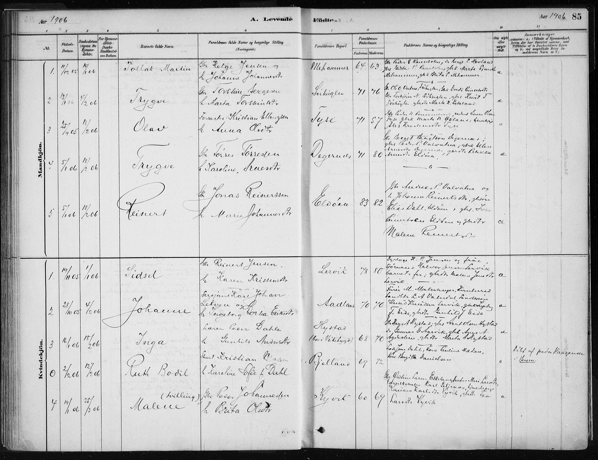 Stord sokneprestembete, SAB/A-78201/H/Haa: Parish register (official) no. B 2, 1878-1913, p. 85