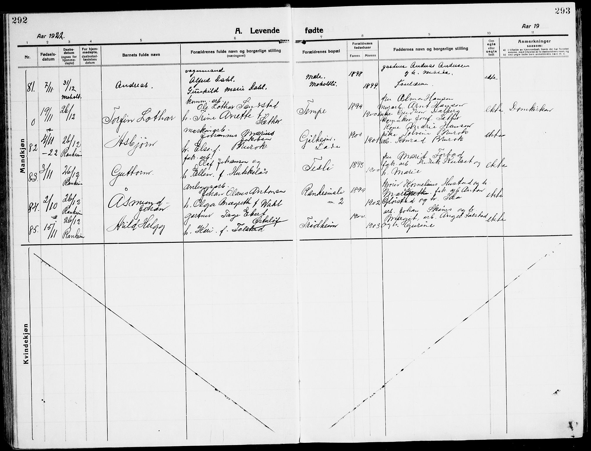 Ministerialprotokoller, klokkerbøker og fødselsregistre - Sør-Trøndelag, AV/SAT-A-1456/607/L0321: Parish register (official) no. 607A05, 1916-1935, p. 292-293