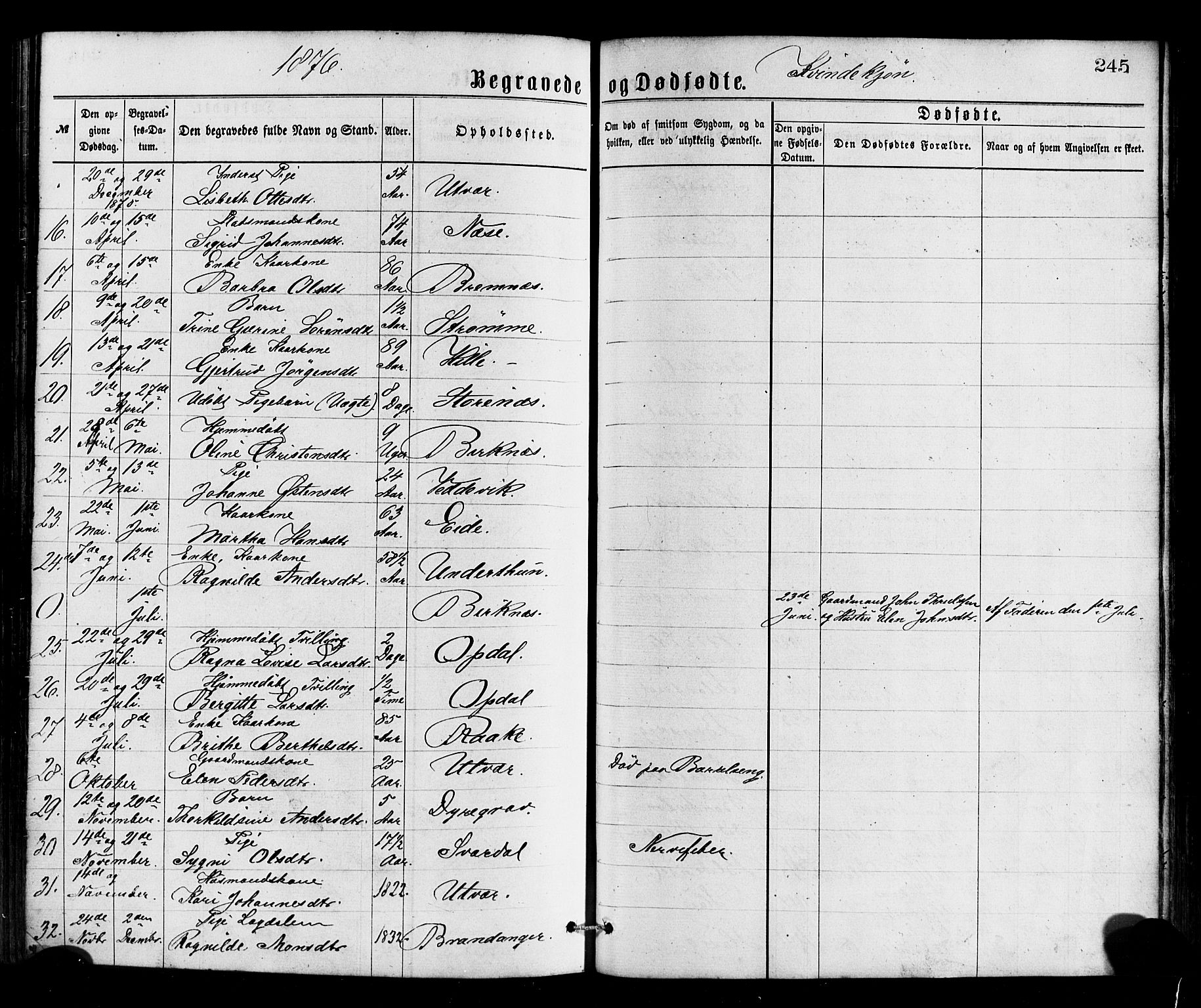 Gulen sokneprestembete, SAB/A-80201/H/Haa/Haaa/L0023: Parish register (official) no. A 23, 1870-1880, p. 245