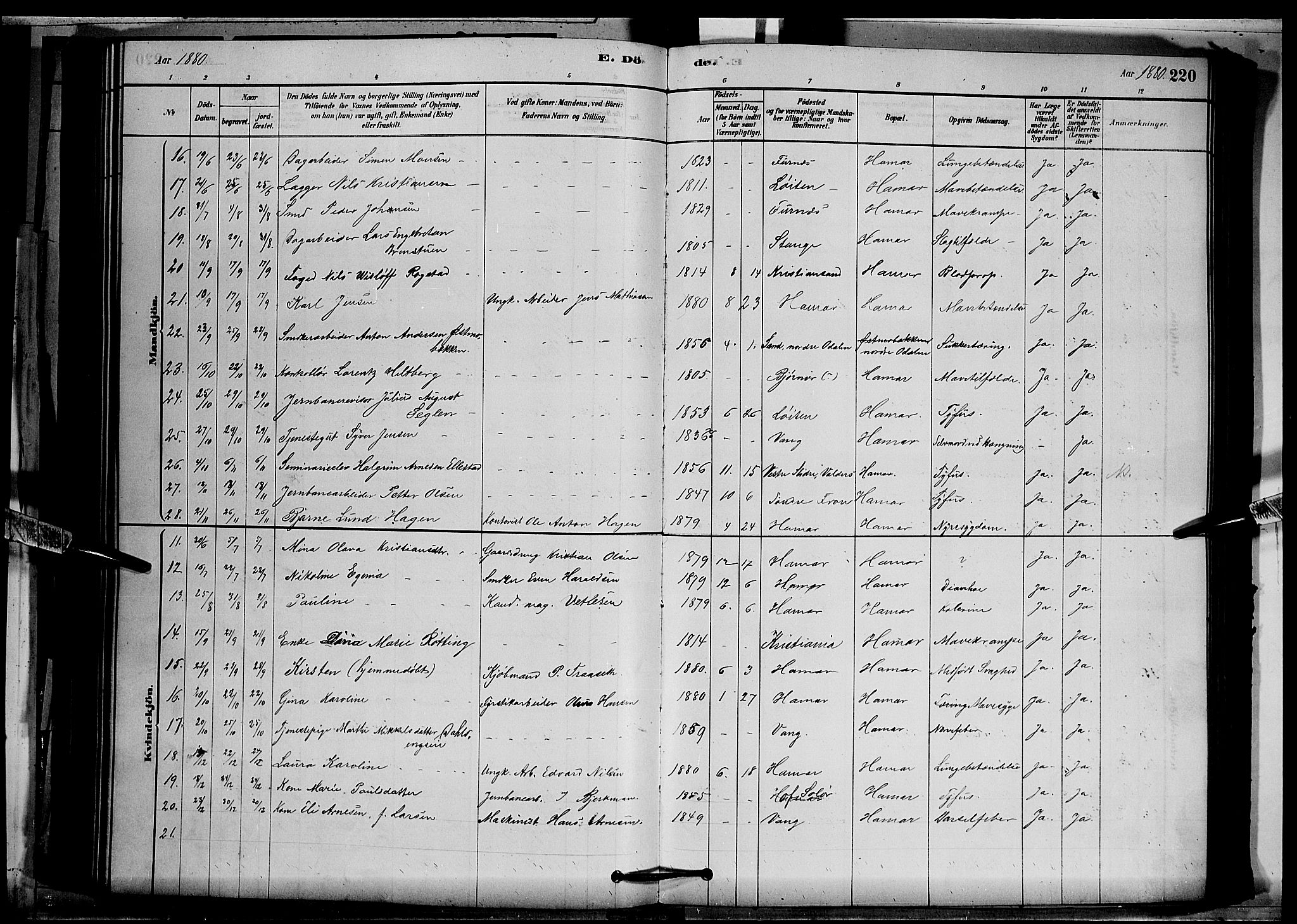 Vang prestekontor, Hedmark, AV/SAH-PREST-008/H/Ha/Hab/L0012: Parish register (copy) no. 12, 1878-1889, p. 220