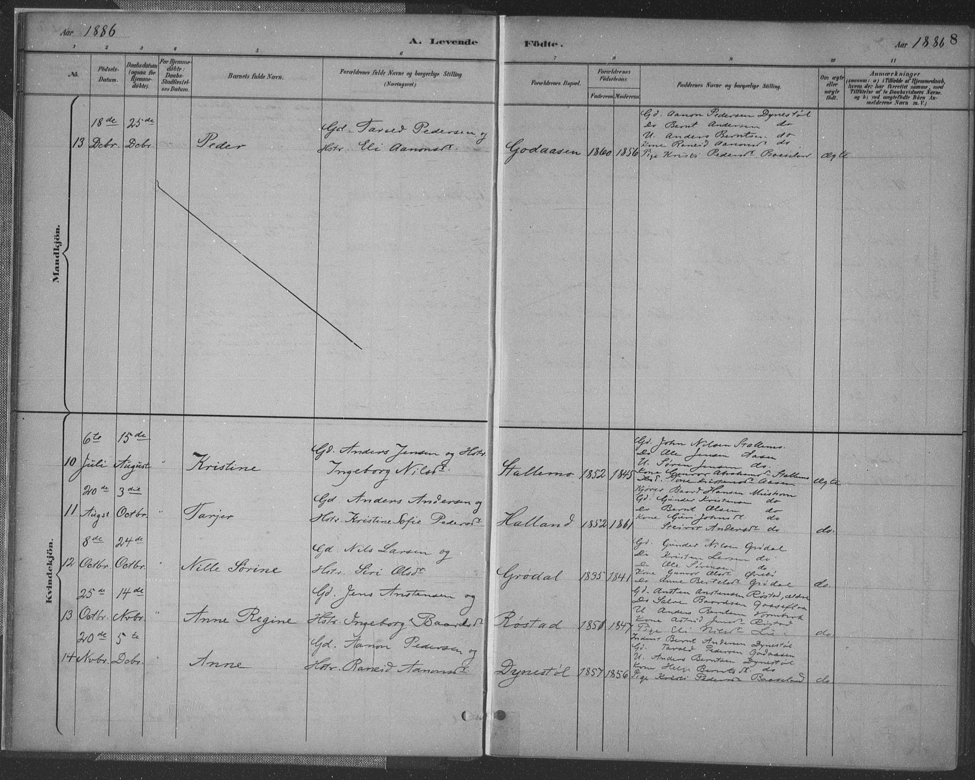 Vennesla sokneprestkontor, SAK/1111-0045/Fa/Fac/L0009: Parish register (official) no. A 9, 1884-1901, p. 8