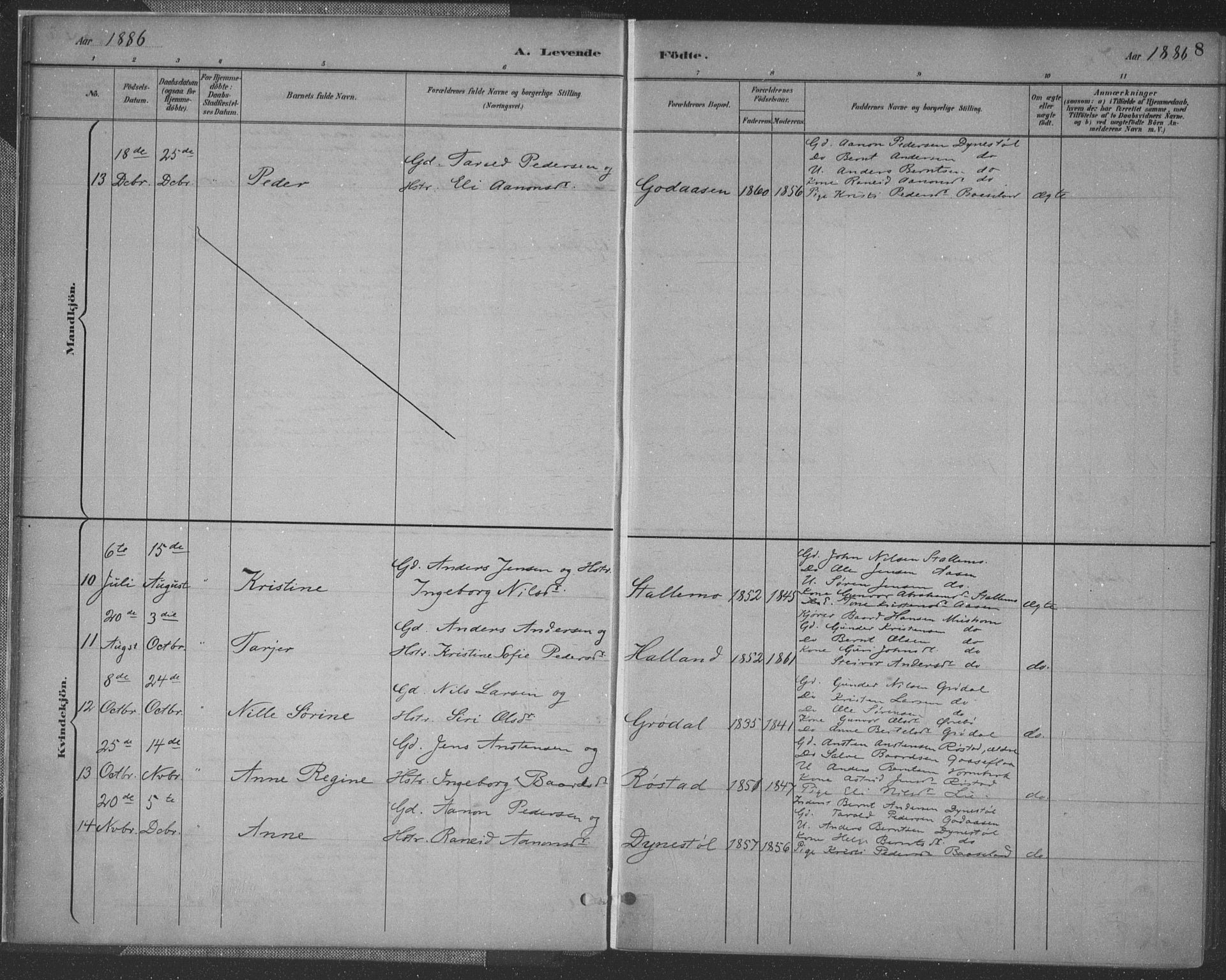 Vennesla sokneprestkontor, AV/SAK-1111-0045/Fa/Fac/L0009: Parish register (official) no. A 9, 1884-1901, p. 8