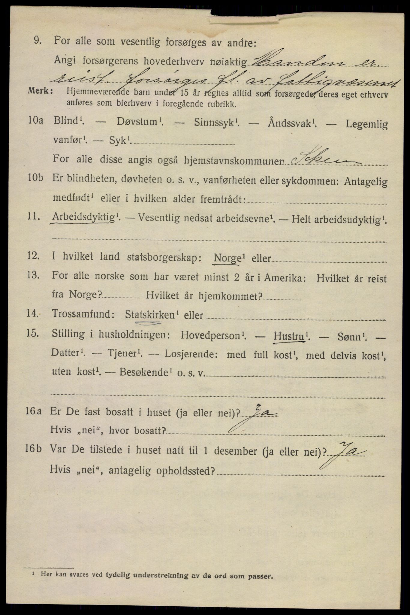 SAKO, 1920 census for Skien, 1920, p. 20021