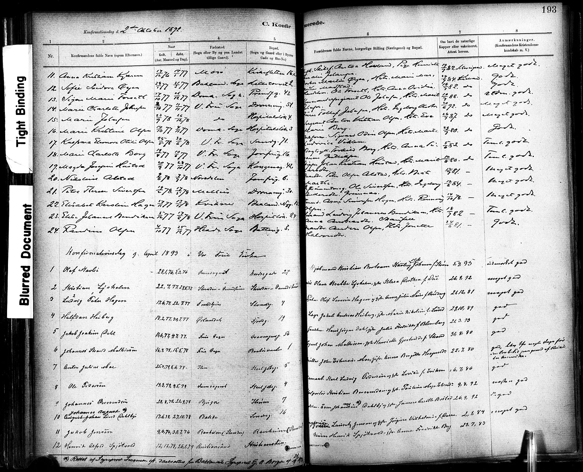 Ministerialprotokoller, klokkerbøker og fødselsregistre - Sør-Trøndelag, SAT/A-1456/602/L0119: Parish register (official) no. 602A17, 1880-1901, p. 193